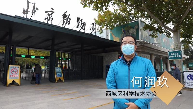 10月份装大门的黄道吉日查询(去北京动物园游玩是怎样的体验？)