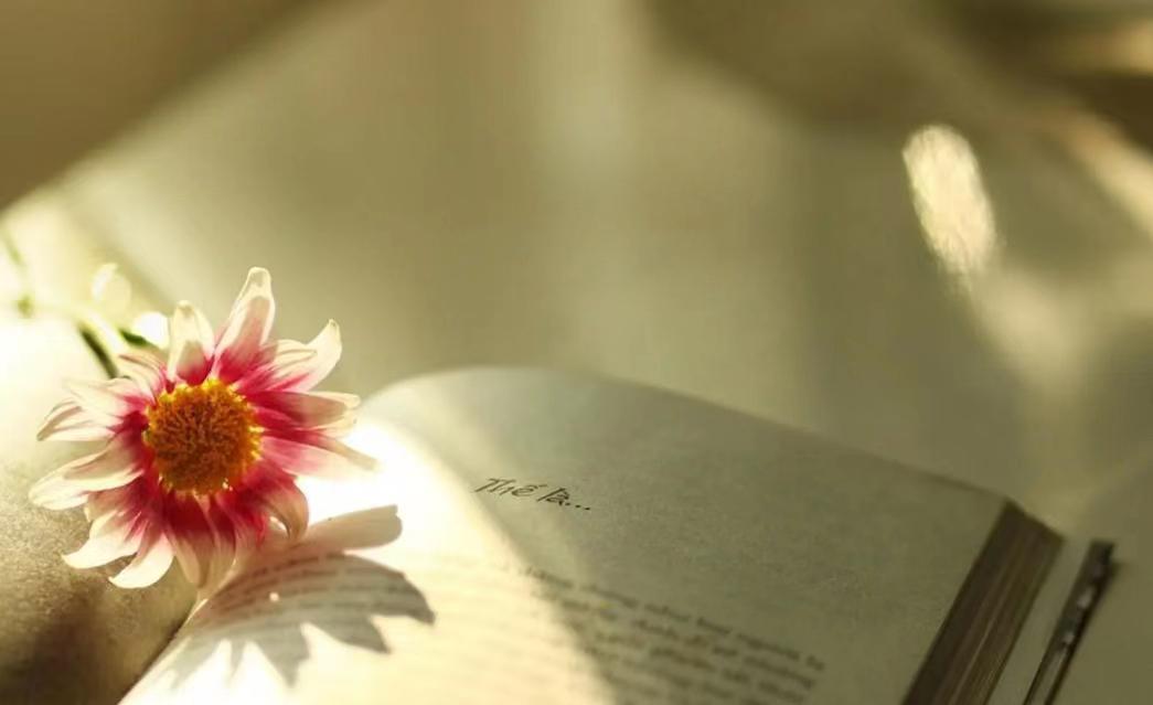 可以改变一个人一生 电影《售梦人》讲述的是巴西一位顶尖心理学家