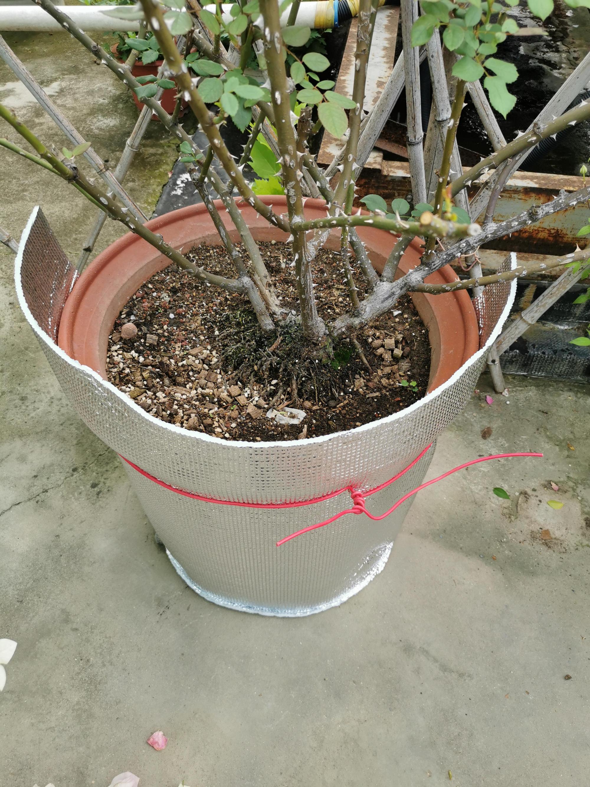 夏季露台盆栽防晒攻略 又到了炎热的夏季,如何让我们