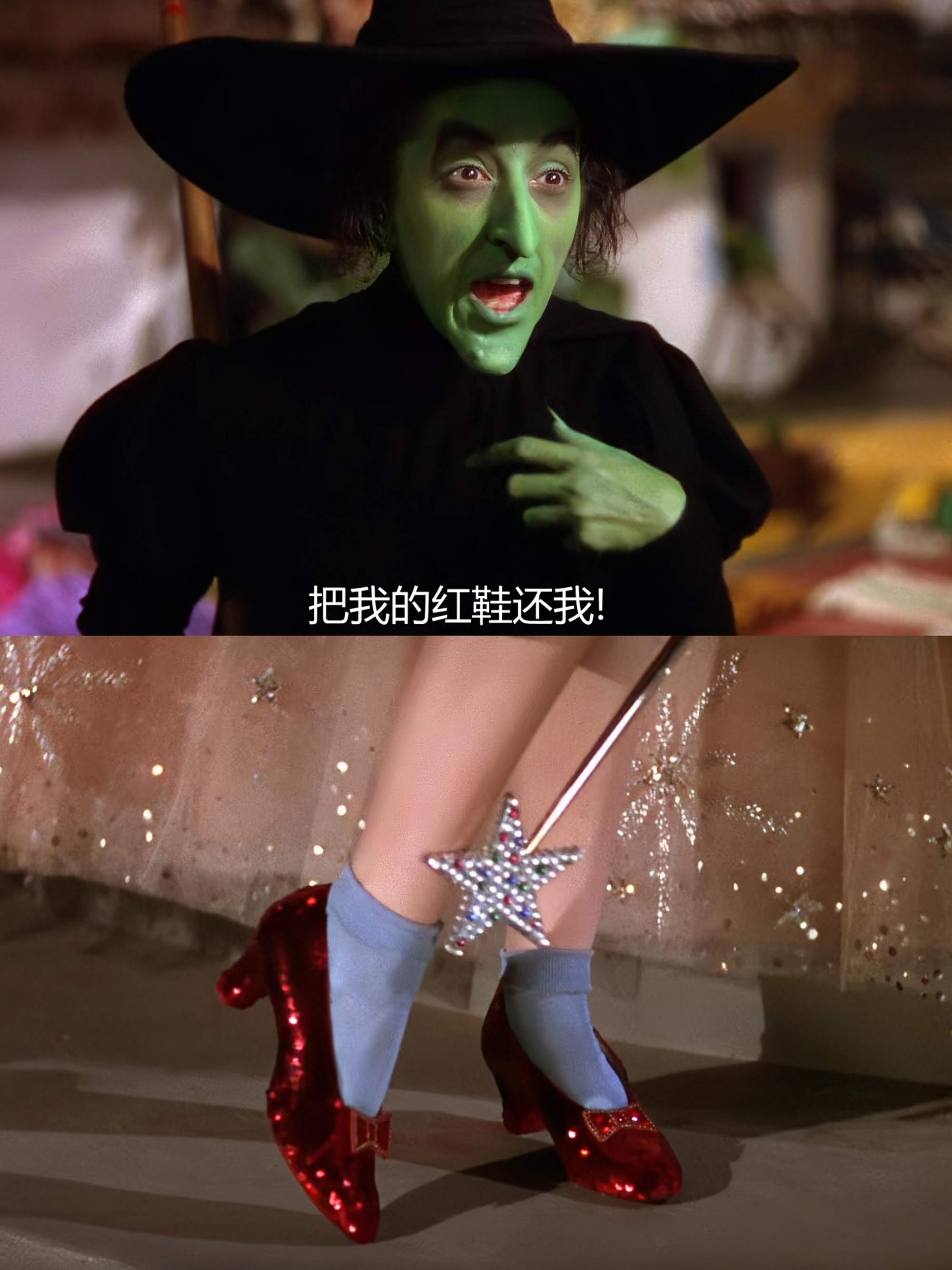 猫和老鼠大电影野仙踪的介绍和剧情简介