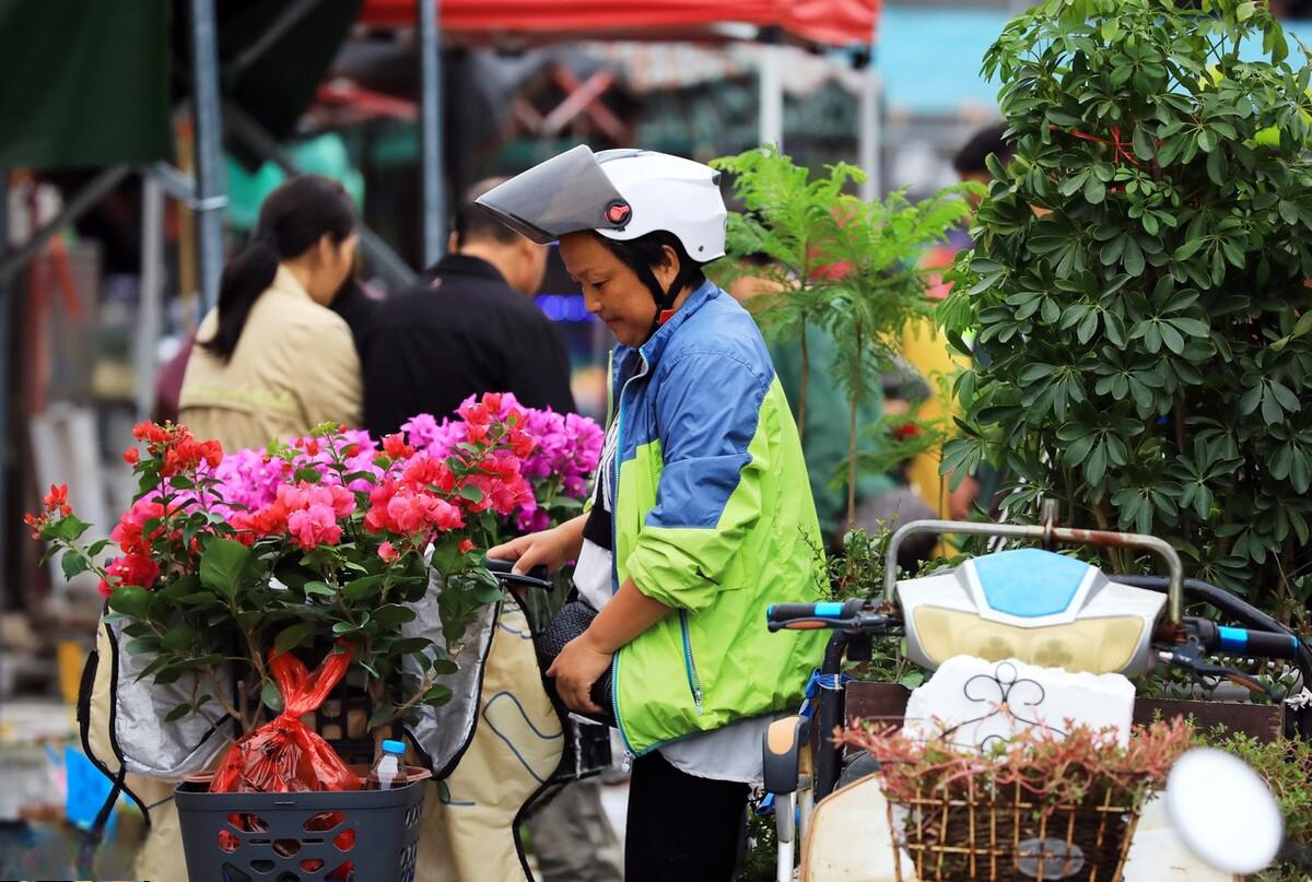 花开满城 这一天