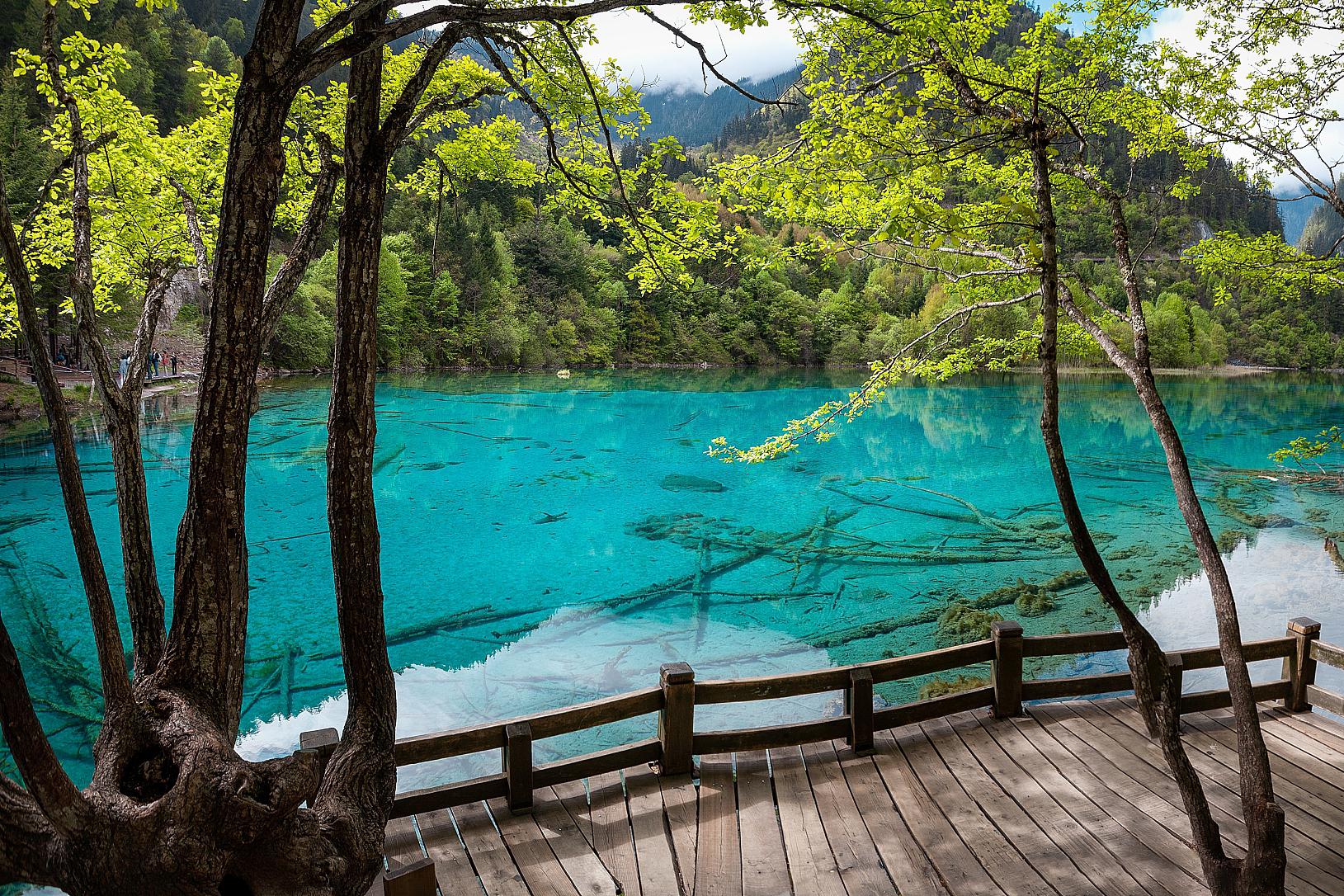 五月是九寨沟的初夏季节,此时的九寨沟气候宜人,景色也十分美丽