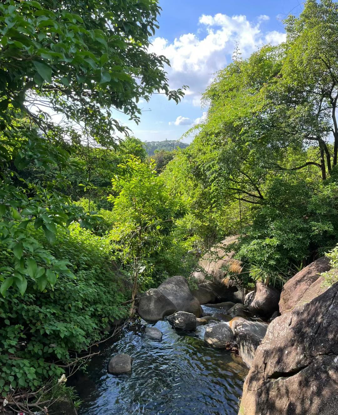 深圳园山风景区游记 深圳园山风景区位于深圳市龙岗区横岗街道,是一片