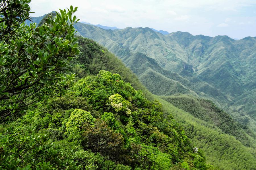 永州阳明山国家森林公园攻略 永州阳明山国家森林公园位于湖南省永州