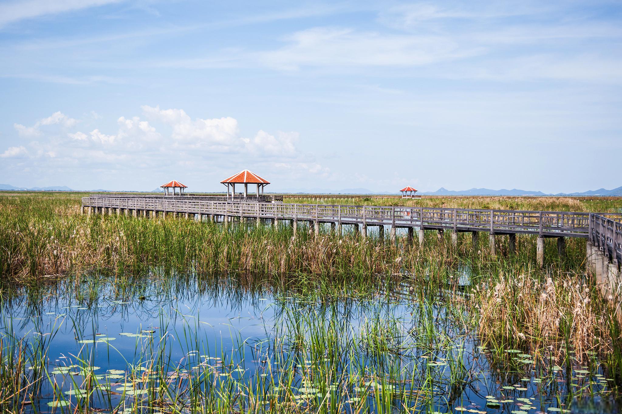 宝清市一日游攻略 宝清市,位于中国黑龙江省双鸭山市,是一个充满自然