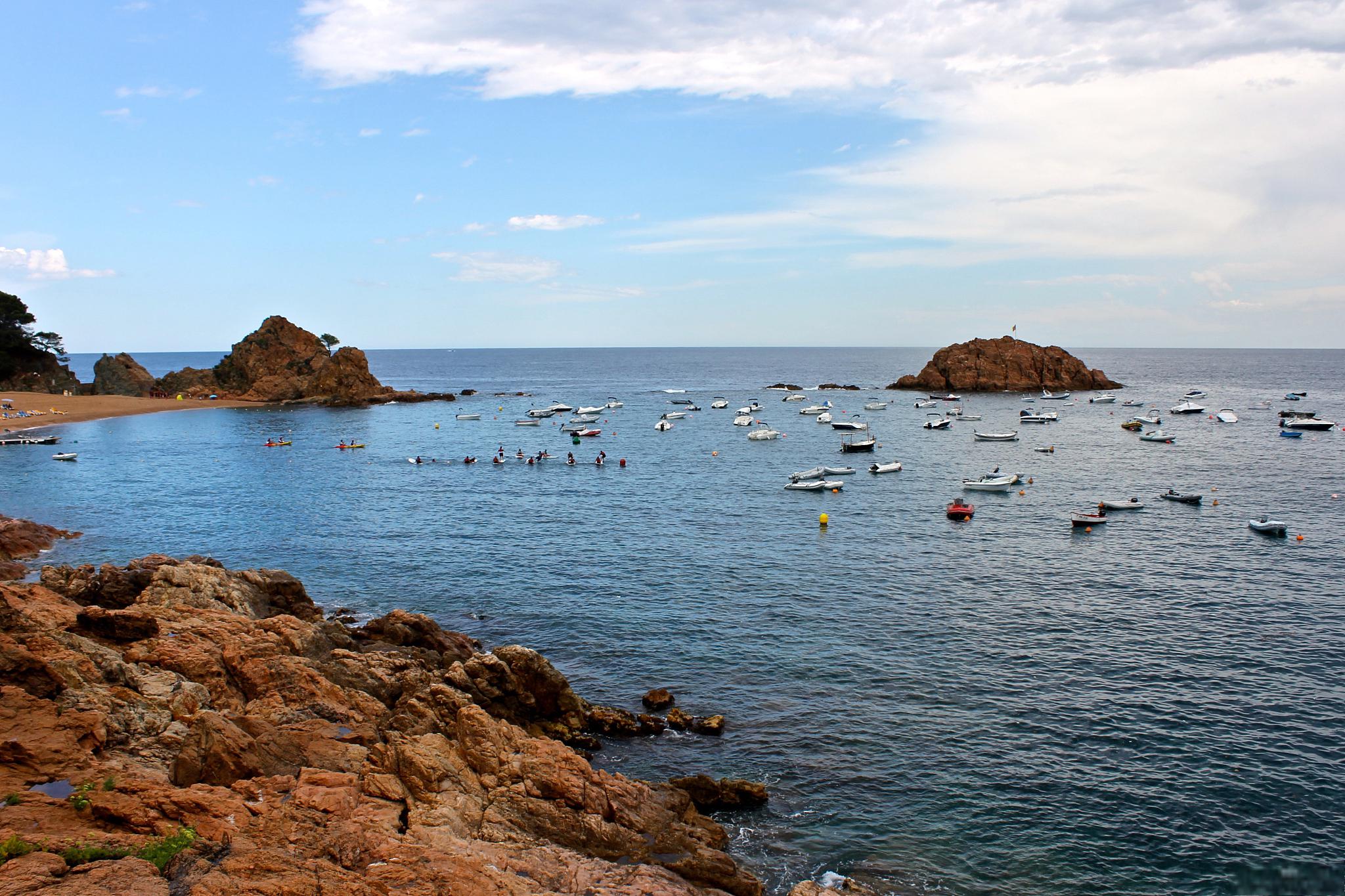 哈仙岛旅游攻略 哈仙岛是位于中国辽宁省大连市庄河市的一个海岛,因其