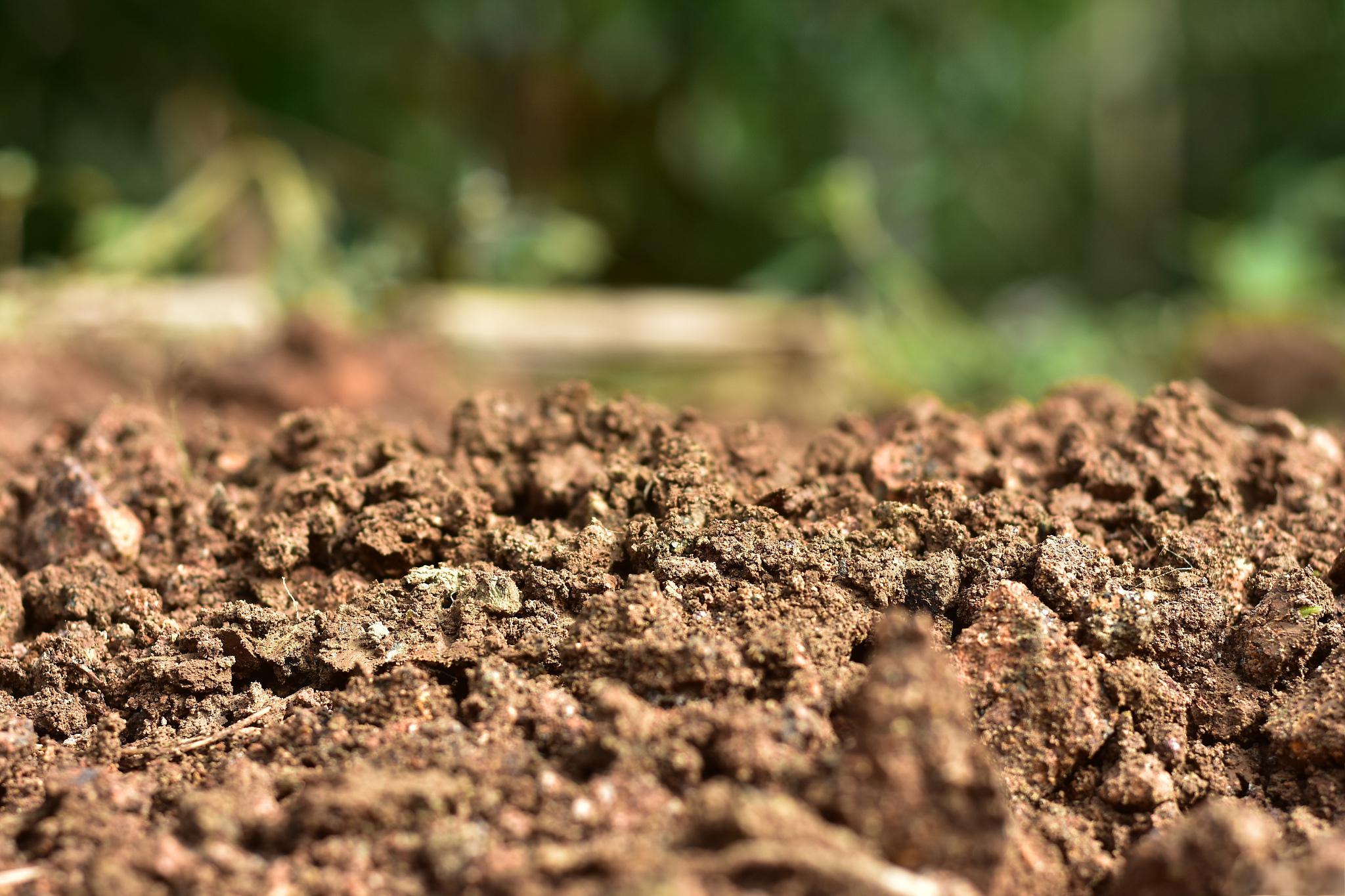 如果花盆中的土壤板结,导致通气性和水分渗透性降低,以下是几种方法