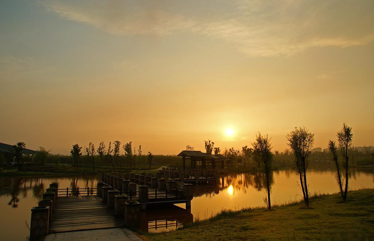 西荒湿地:生态宝藏 普者黑景观大道上的西荒湿地,是一处集合了自然