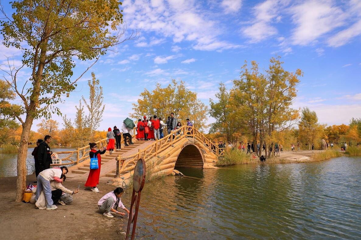 在2023年的秋天,位于中国甘肃省酒泉市的金塔沙漠胡杨林景区见证了一