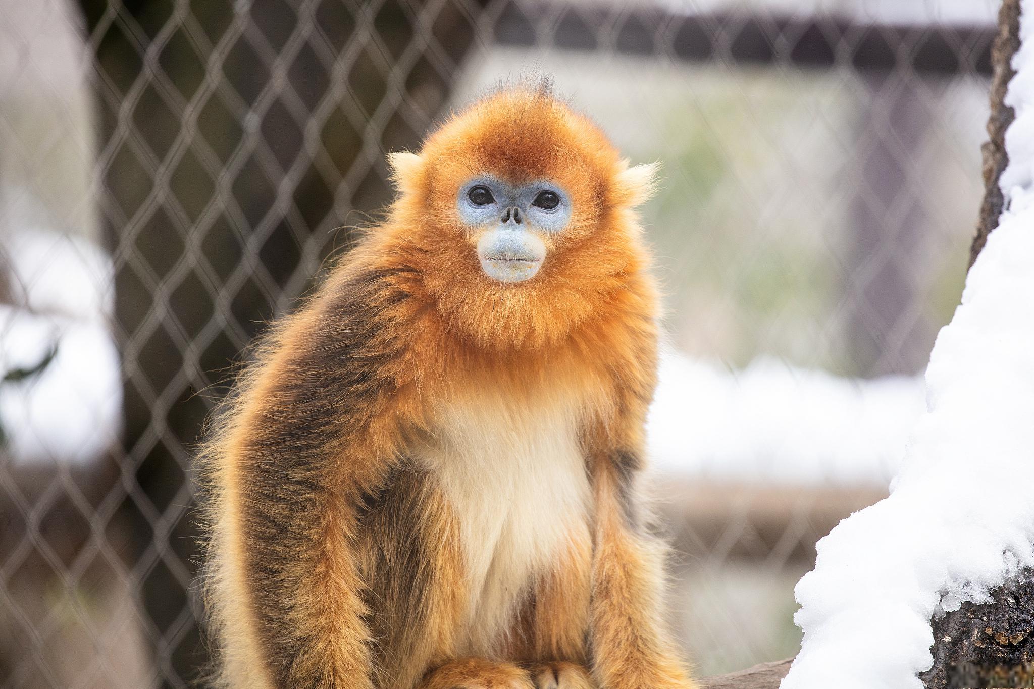 福州动物园位于福建省福州市晋安区,是一个占地面积55公顷的大型呈行