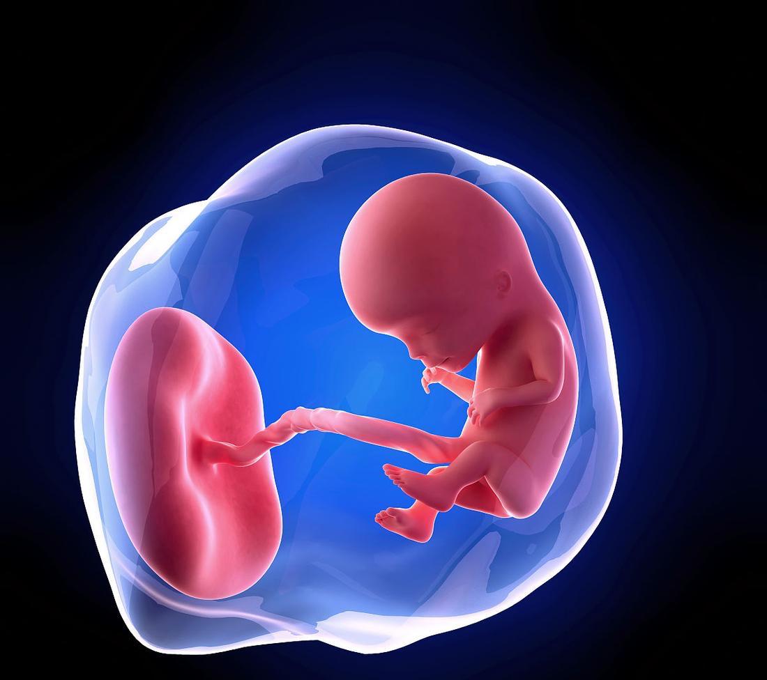 怀孕12周胎儿多大图片图片
