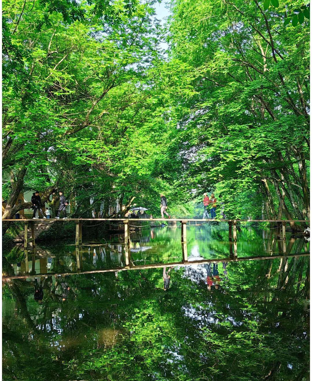南屏,西溪南,宏村,呈坎,西递,碧山,每个古村落都有着独特的风景和文化