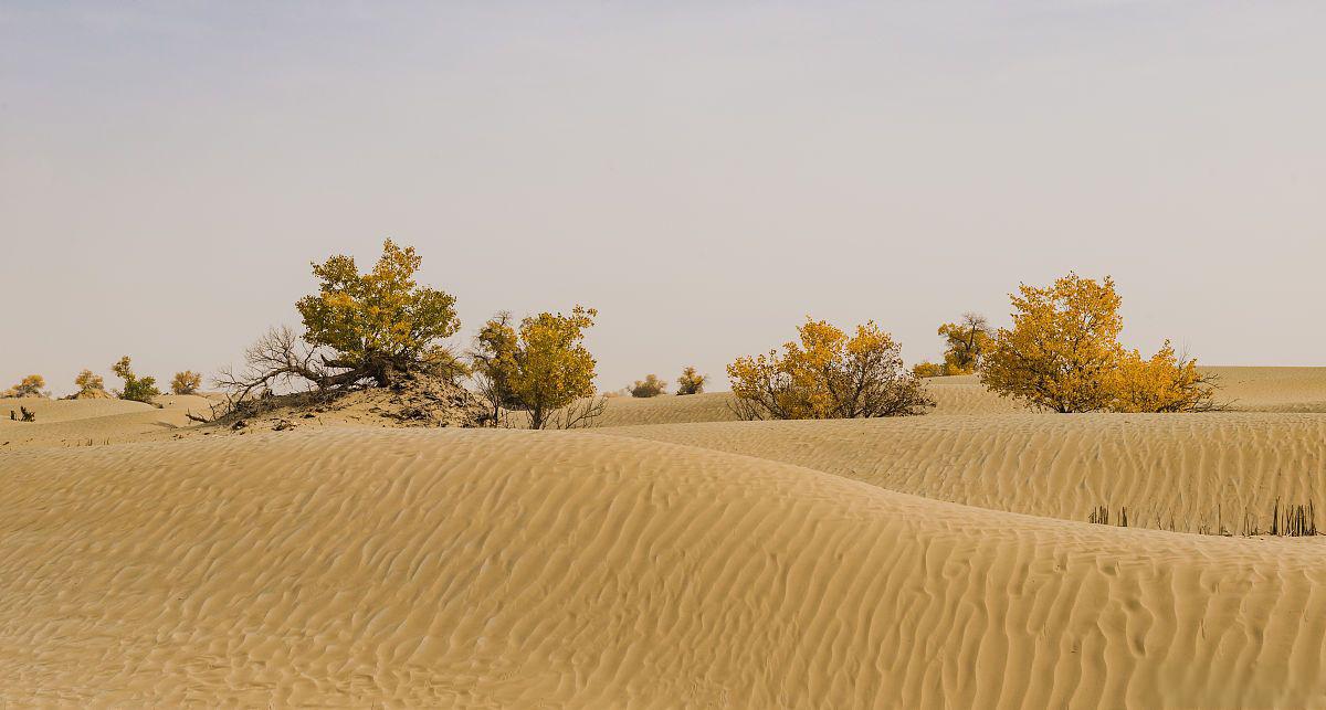 南昌厚田沙漠的特色与保护 南.@娱乐旅行拍摄的动态