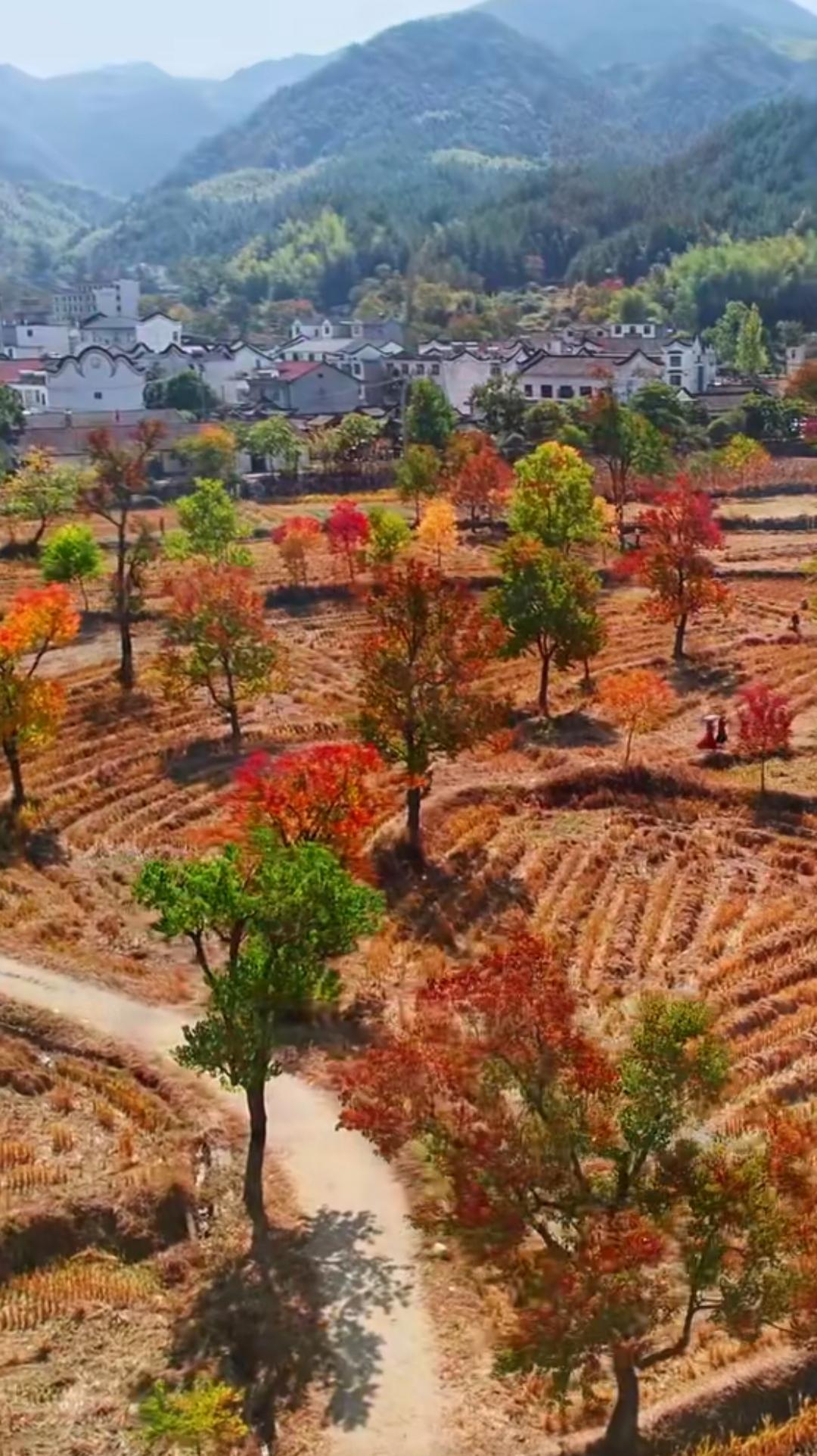 罗田县圣人堂红叶景区 罗田县圣人堂红叶景区位于湖北省罗田县九资河