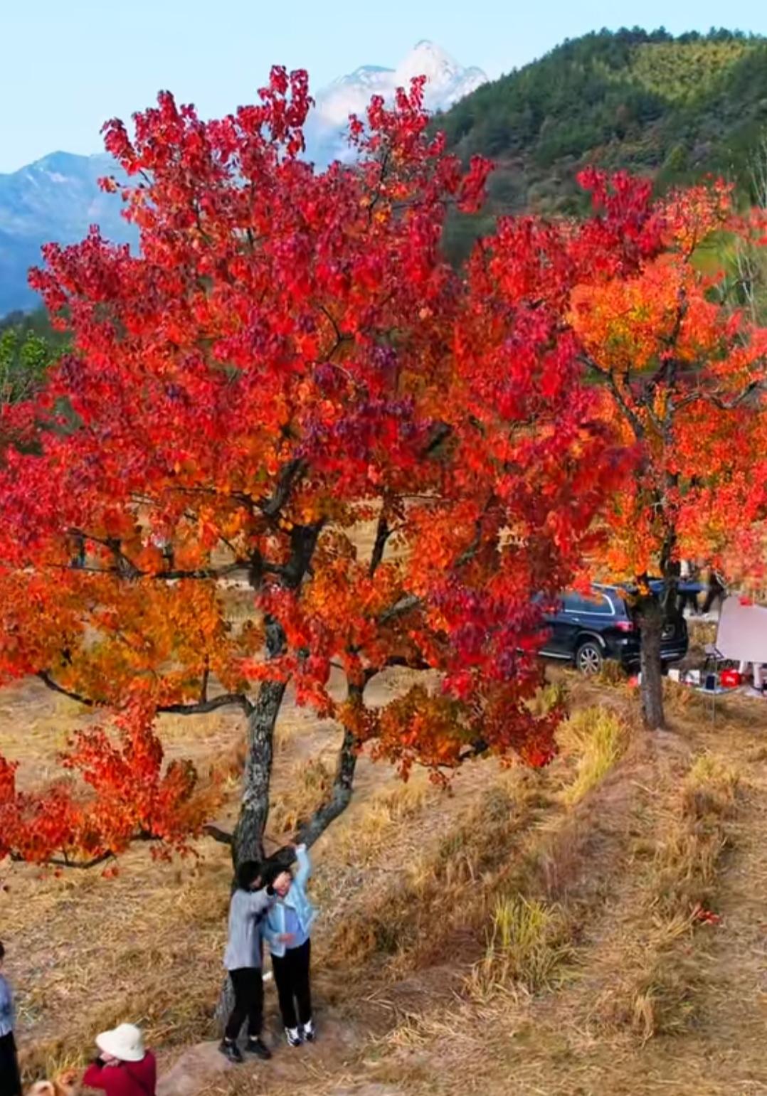 罗田县圣人堂红叶景区 罗田县圣人堂红叶景区位于湖北省罗田县九资河