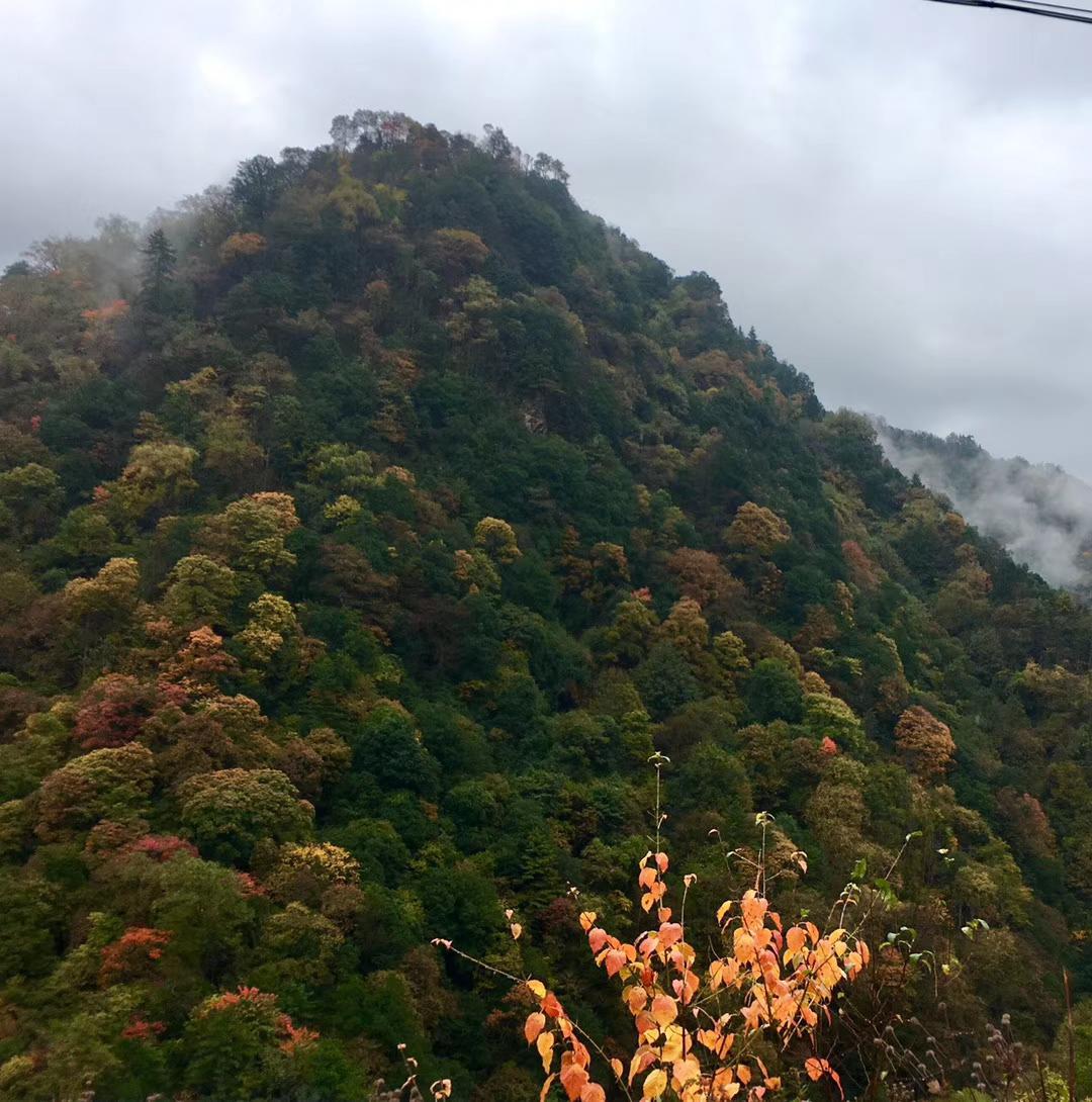 陕西最美乡村公路眉太线,姜眉公路 眉太线,姜眉公路是沿三国时褒斜