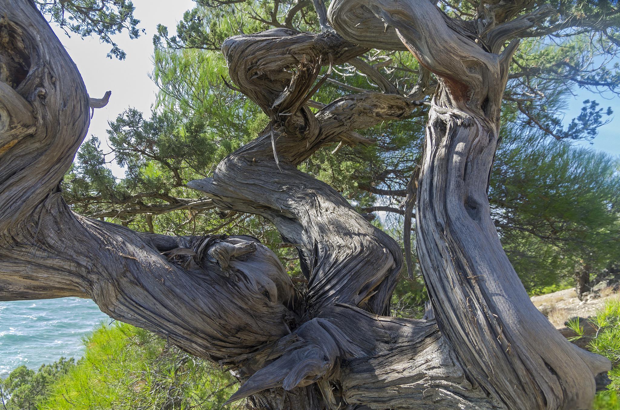 南京六合达浦生纪念馆 位于江苏省南京市六合区南门清真寺内的达浦生