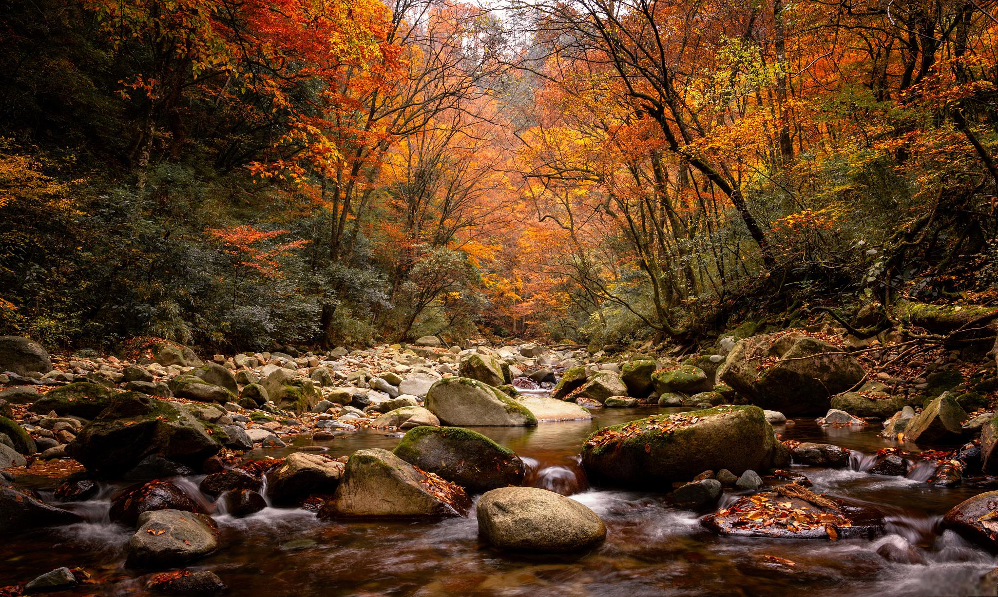 公园 光雾山/诺水河世界地质公园,位于四川省巴中市北部的米仓山地区
