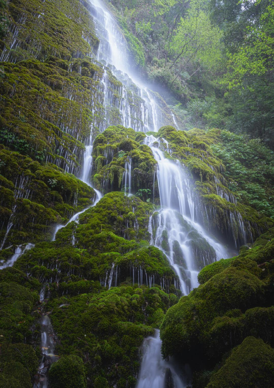 青城山瀑布,细水长流的生命之源 青城山,一个充满神秘色彩的名字,让人