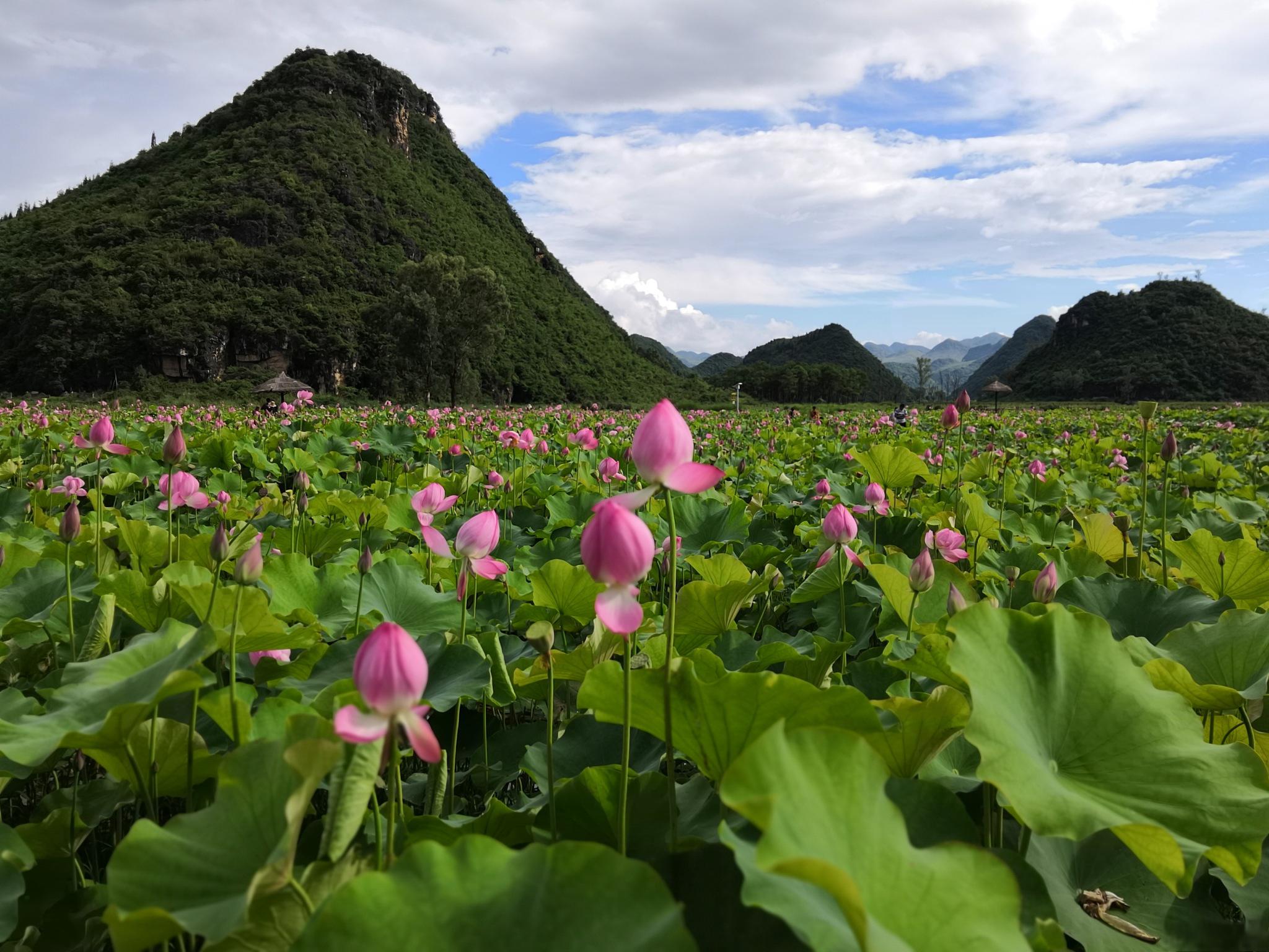 丘北县旅游景点大全图片