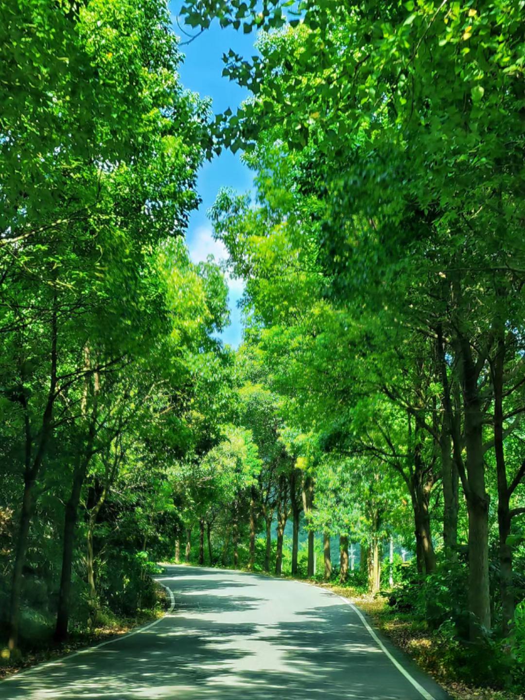 荆门的黄仙洞——家门口的避暑胜地 炎炎夏日,寻找一处清凉宜人的避暑
