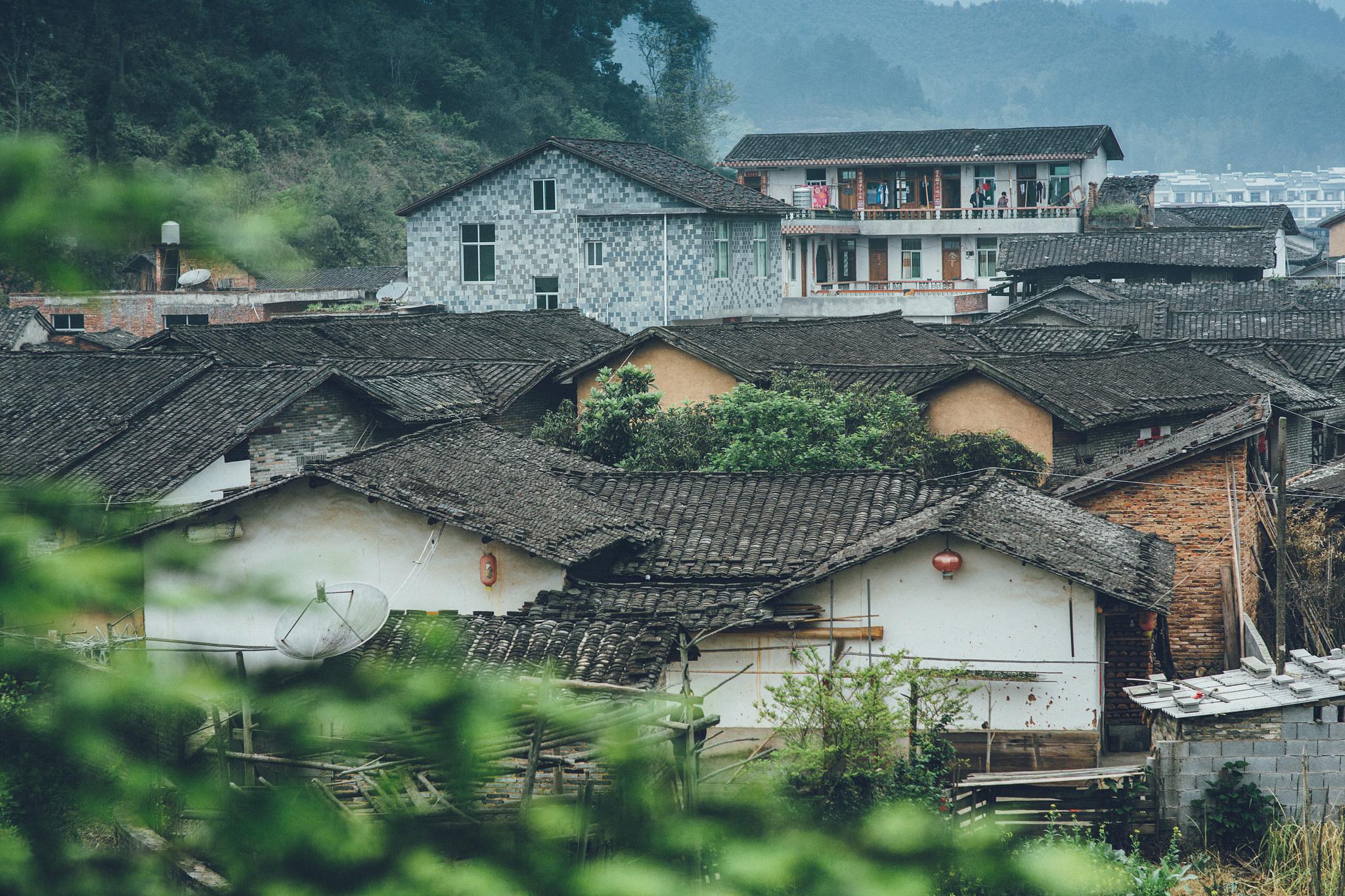 江西修水,千年古村的魅力之旅 江西修水,一个充满历史韵味和江南水乡