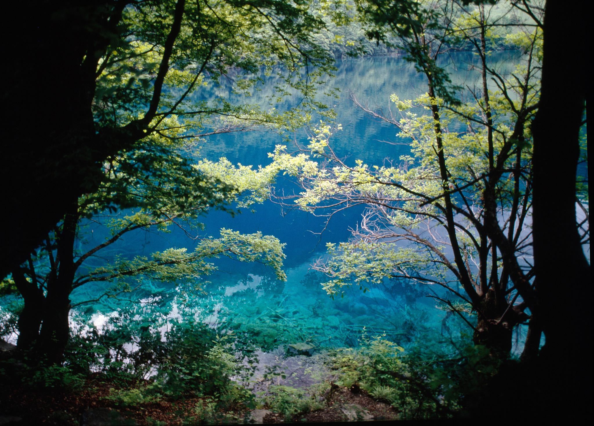 四川九寨沟秋天图片