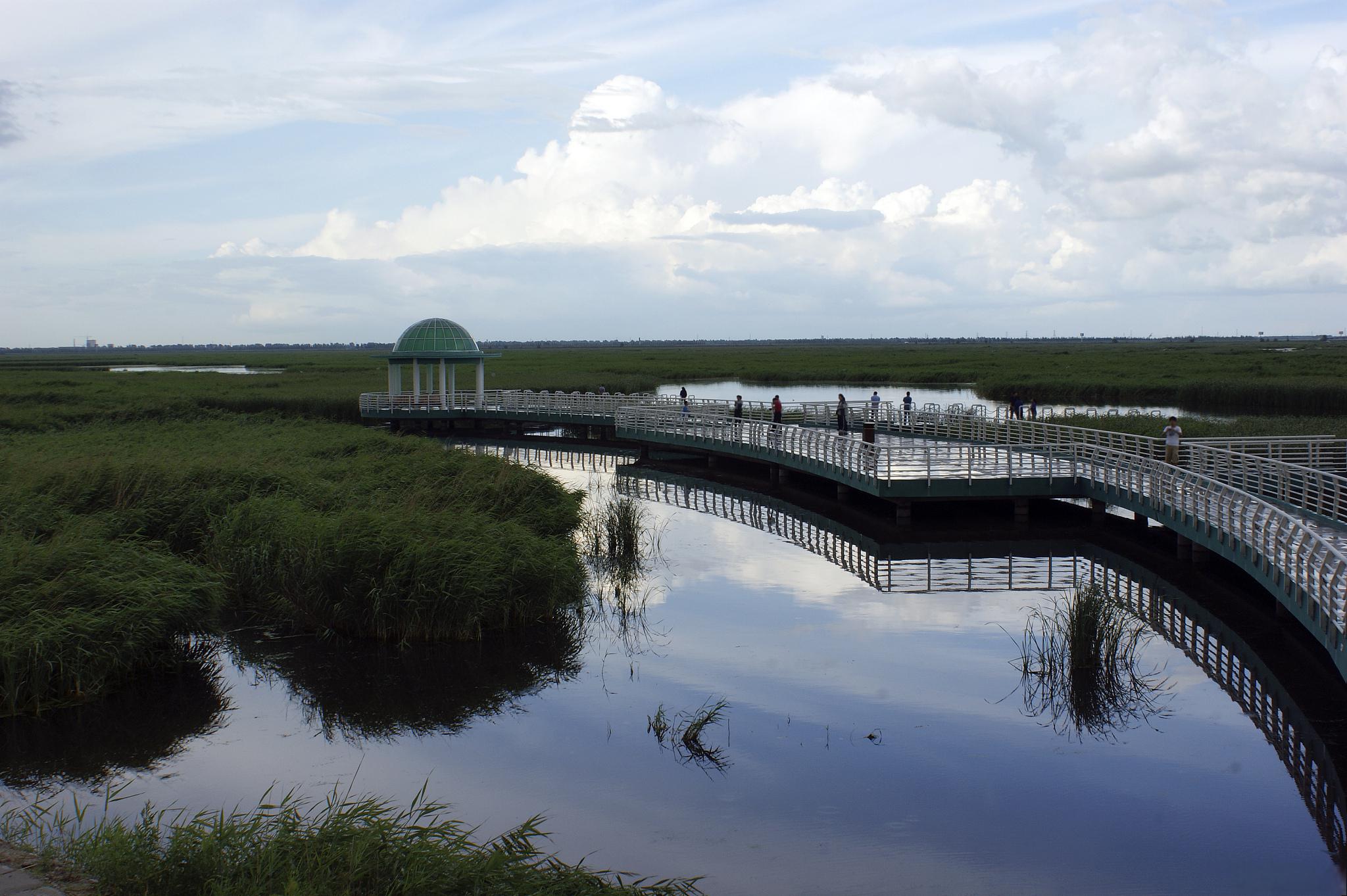 鸡西旅游必玩景点 鸡西是一个充满自然和文化魅力的旅游目的地.