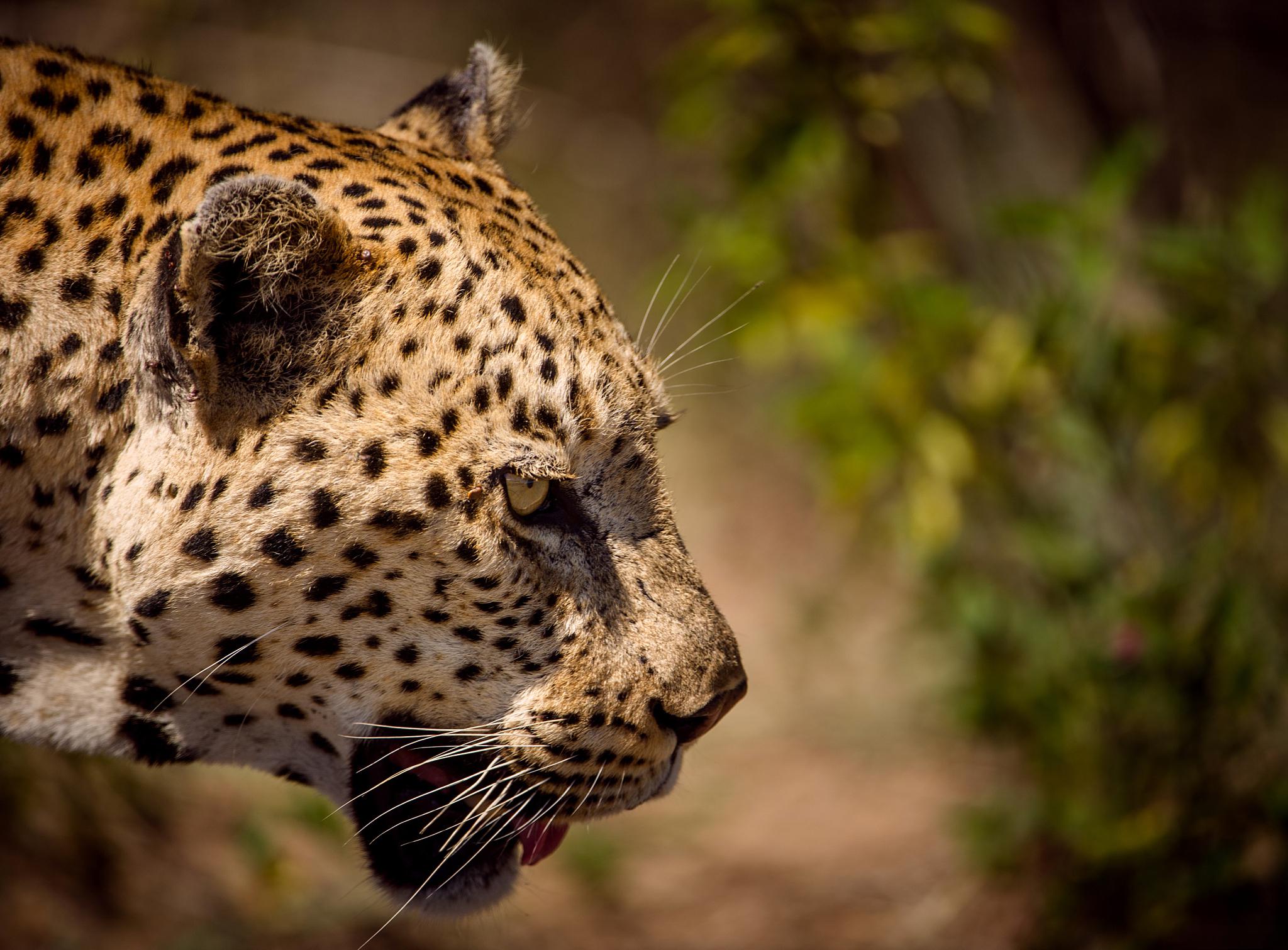 如何成为一名合格的交易员?