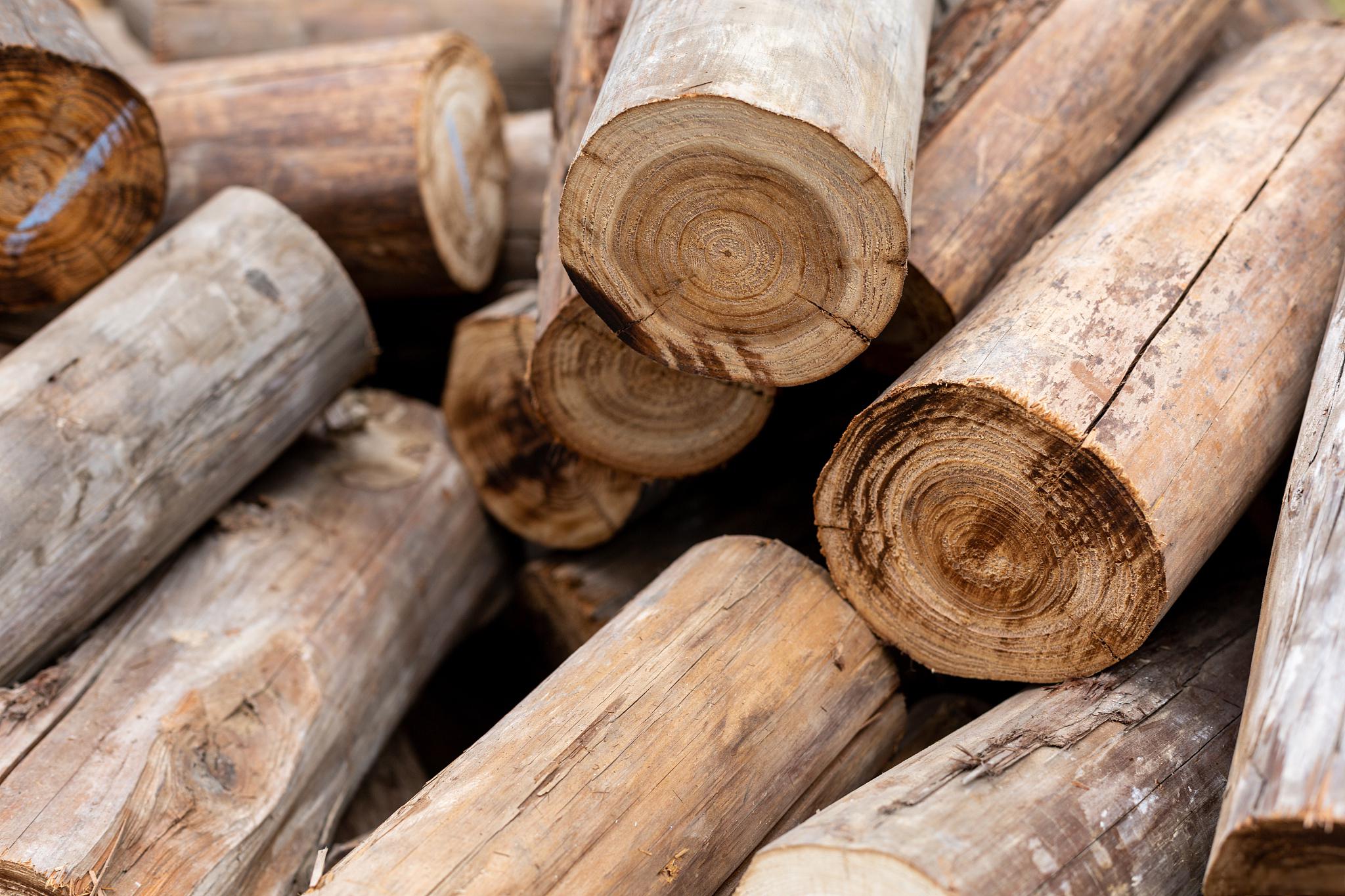 金丝楠木的特点,产地,用途和价.@装小修家居的动态