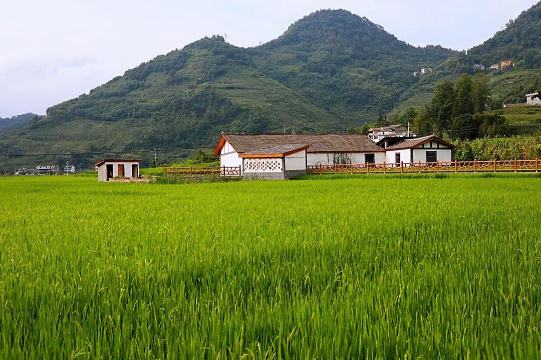 盐津县牛寨乡图片