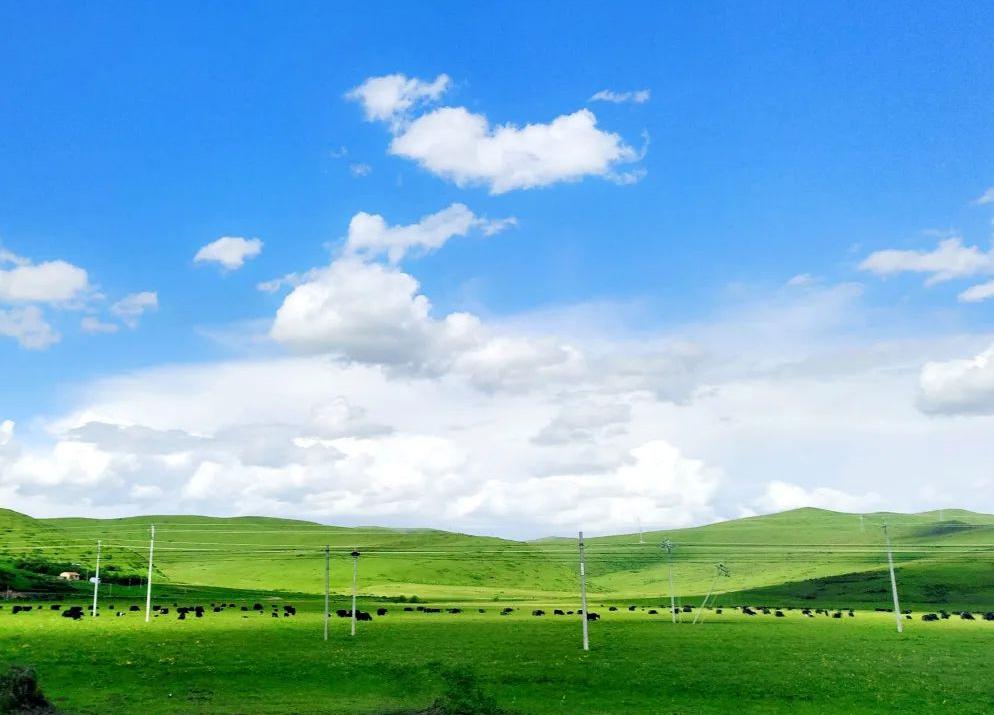 四川热尔大草原的魅力 四川省被誉为"天府之国",不仅有壮丽的山川景色