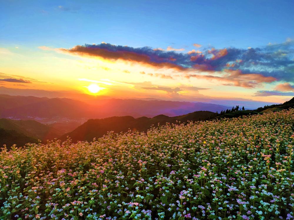 勐佑镇中和村图片