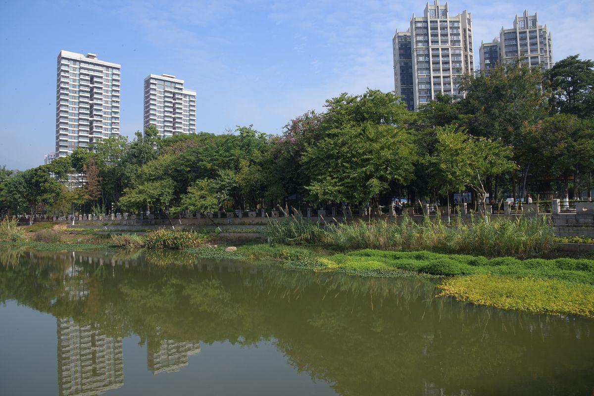 上海清溪园是一个历史悠久且文化丰富的园林,位于上海市青浦区