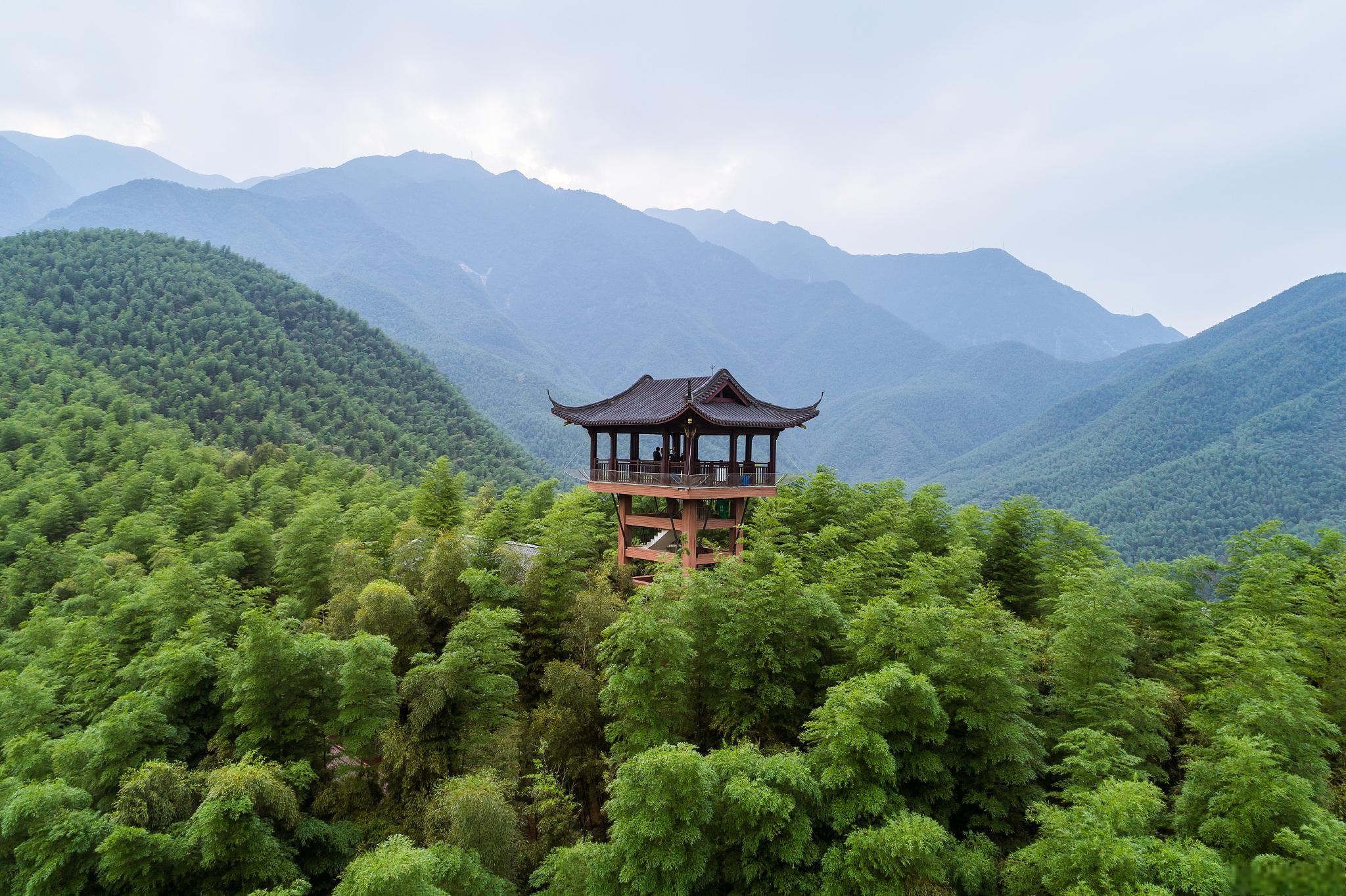 安吉竹子博览园,竹文化与生态旅游的胜地 浙江有一博览园,园内以不同