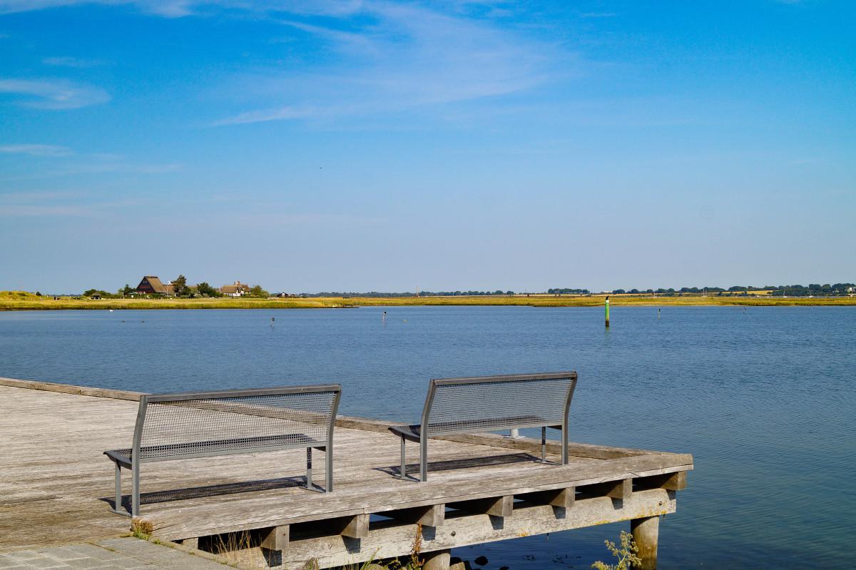 东营,这座充满活力的城市 东营以独特的自然风光,丰富的历史文化和