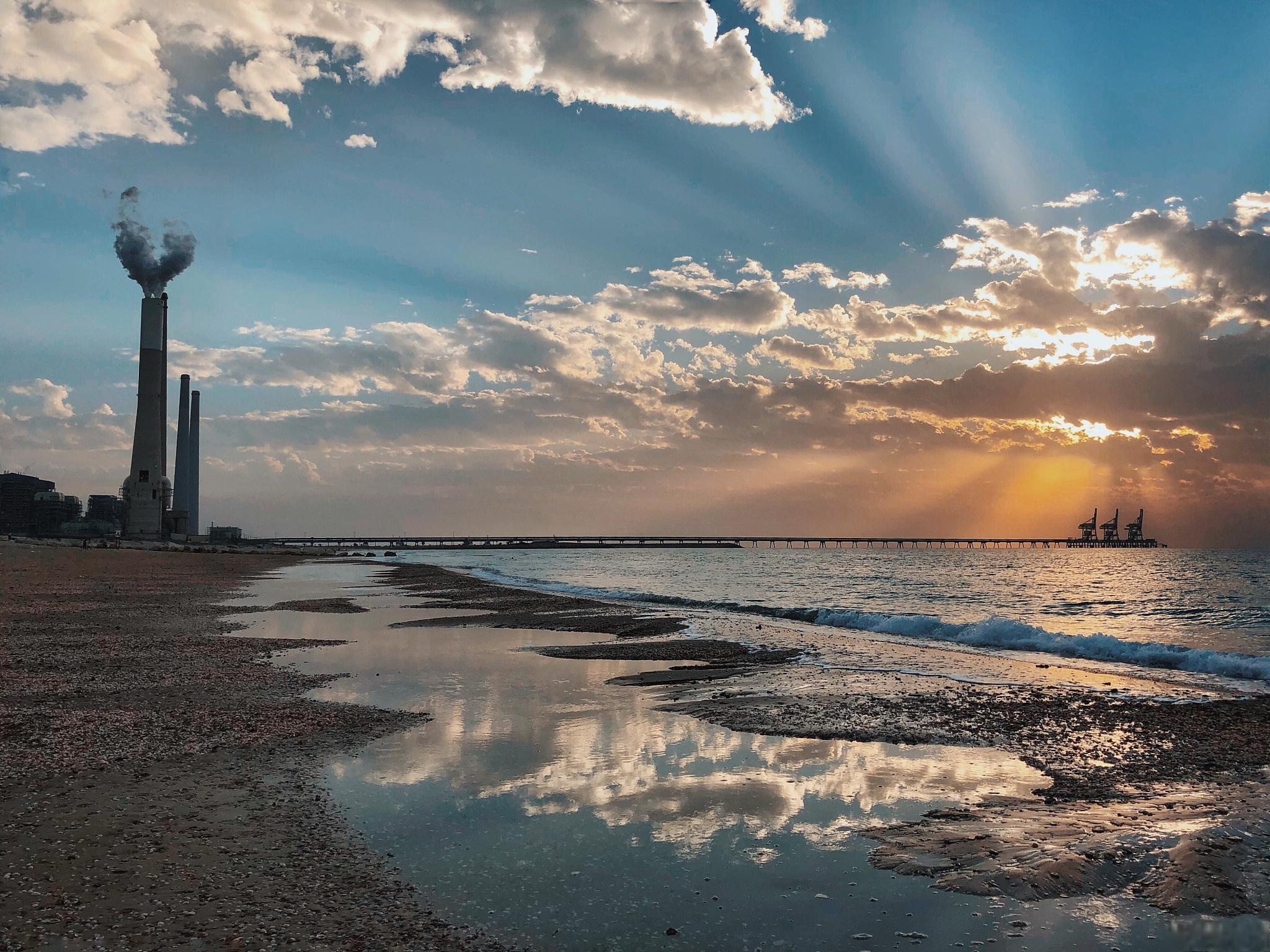 东营,这座充满活力的城市 东营以独特的自然风光,丰富的历史文化和