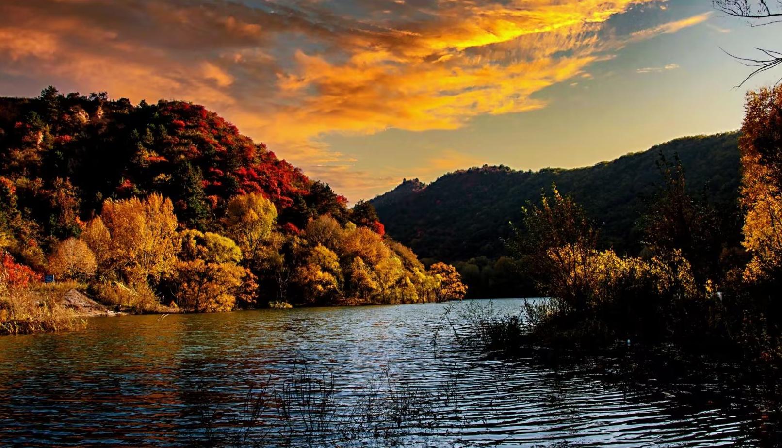 甘山红叶之旅 甘山素以秋色美而著称,特别是每到深秋,满山红叶如火如