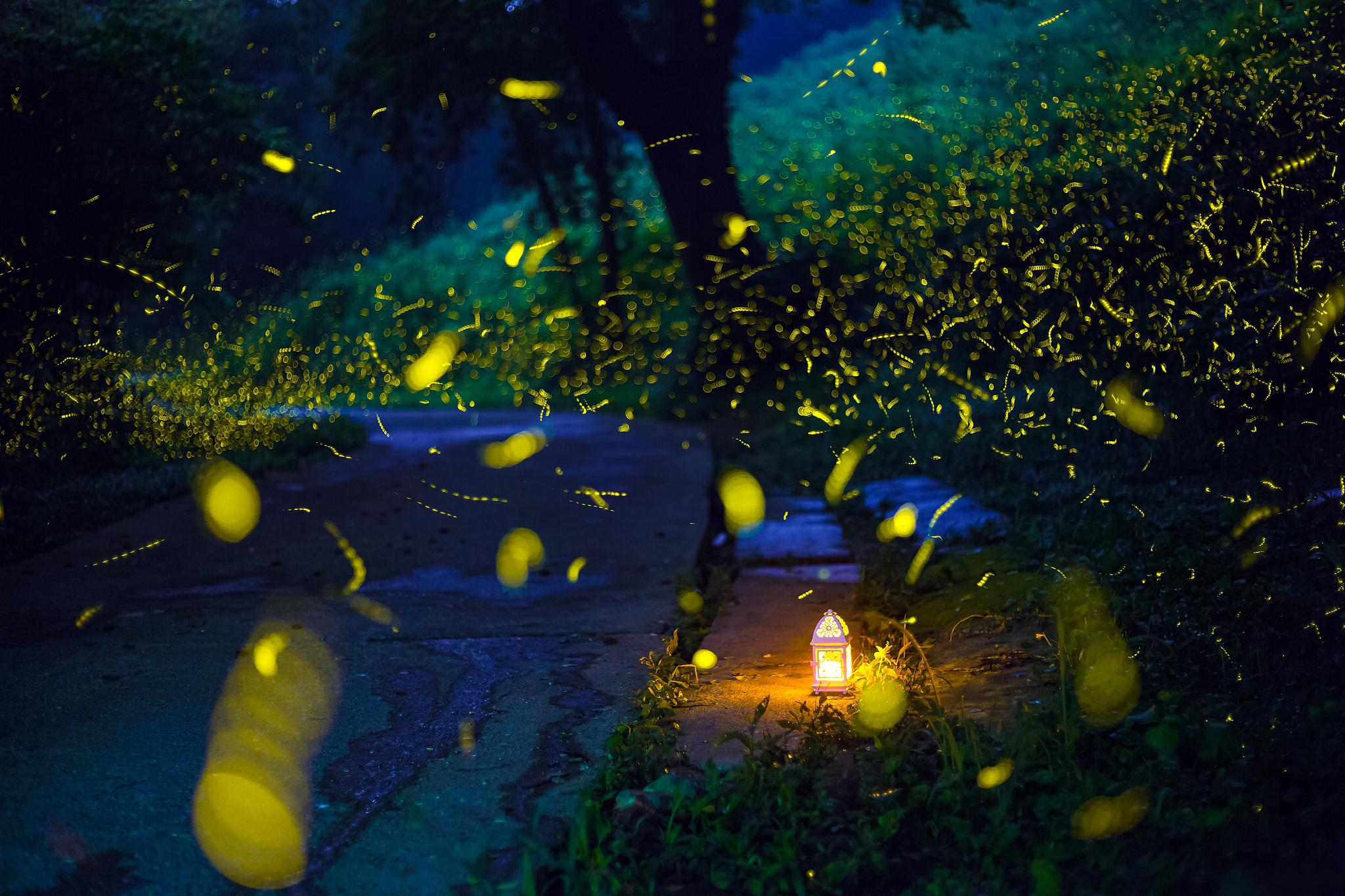 萤火虫水洞·地下大峡谷旅游区 萤火虫水洞·地下大峡谷旅游区是一处