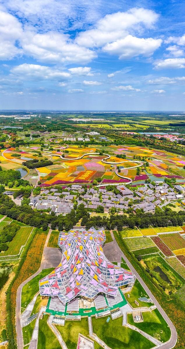 江苏宿迁衲田花海,美丽的旅游目的地 江苏宿迁,一个美丽的地方,有着