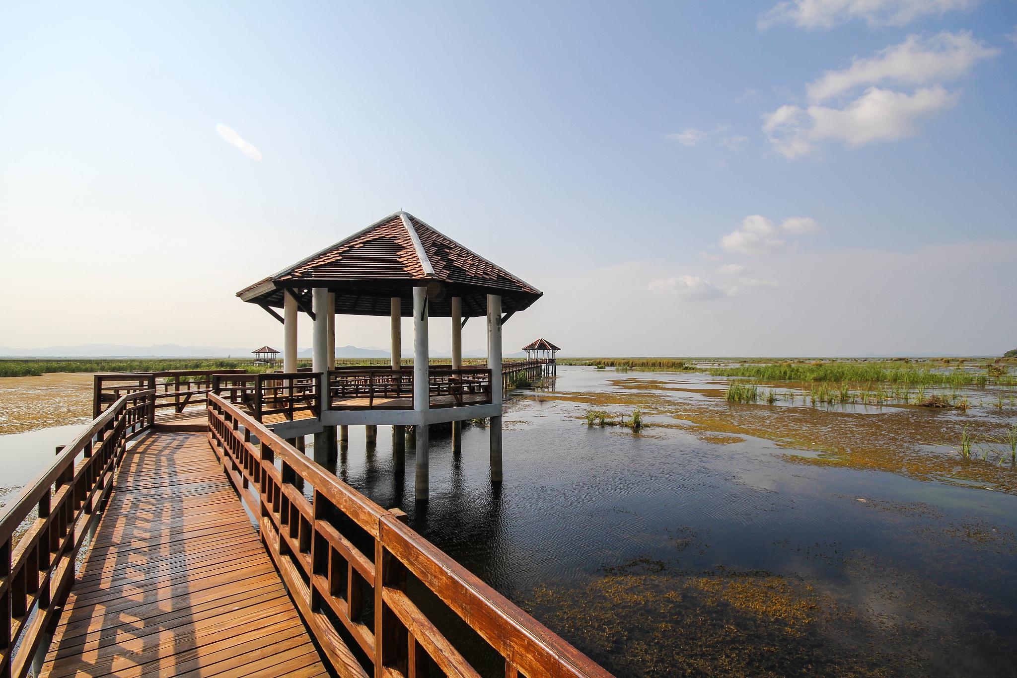 洪泽湖湿地公园旅行贴士 来洪泽湖湿地公园玩,记得一定要晴天来哦!