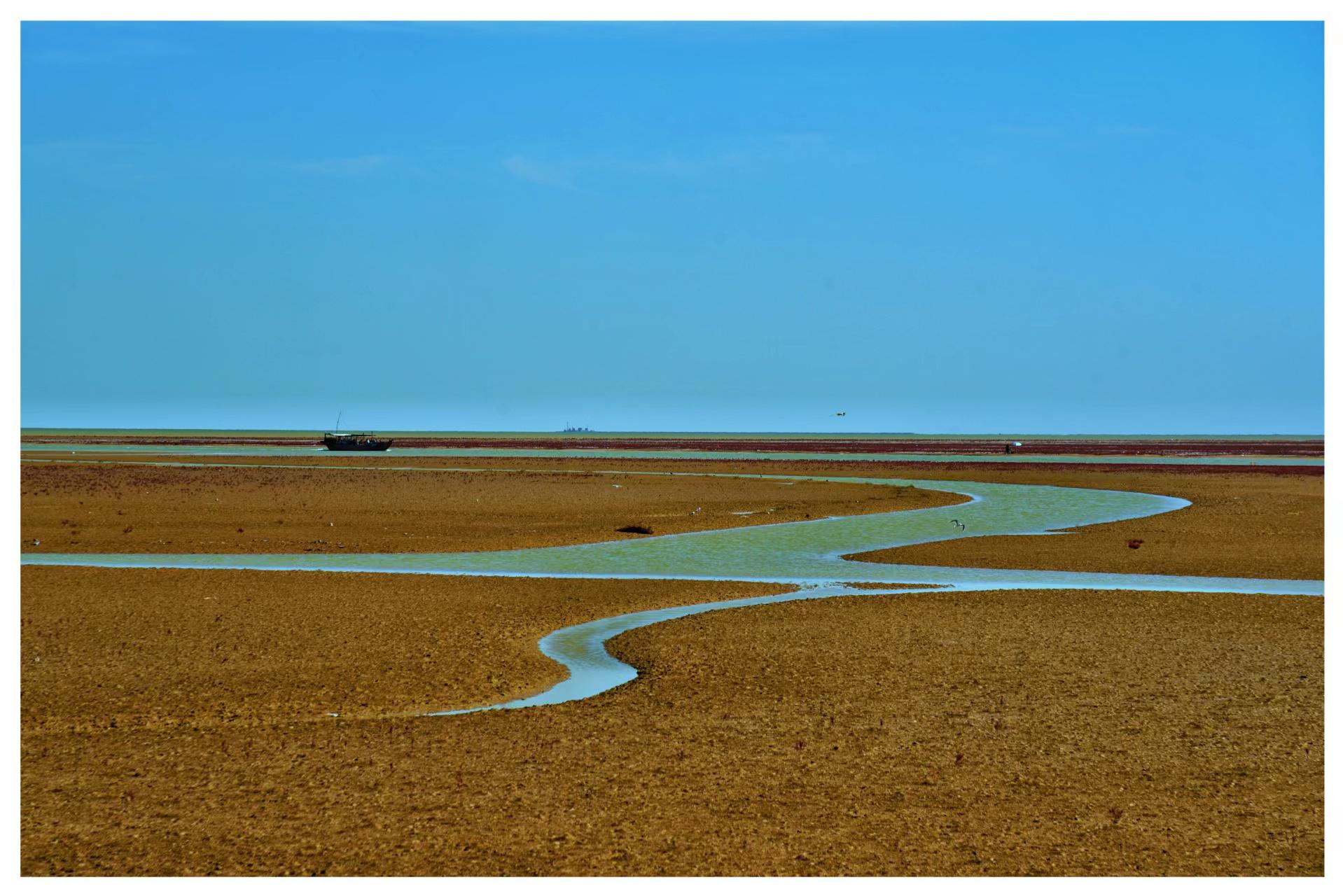 东营红地毯,让你的假期更美好 女儿苏苏和男友嘉伟从广州回来度假