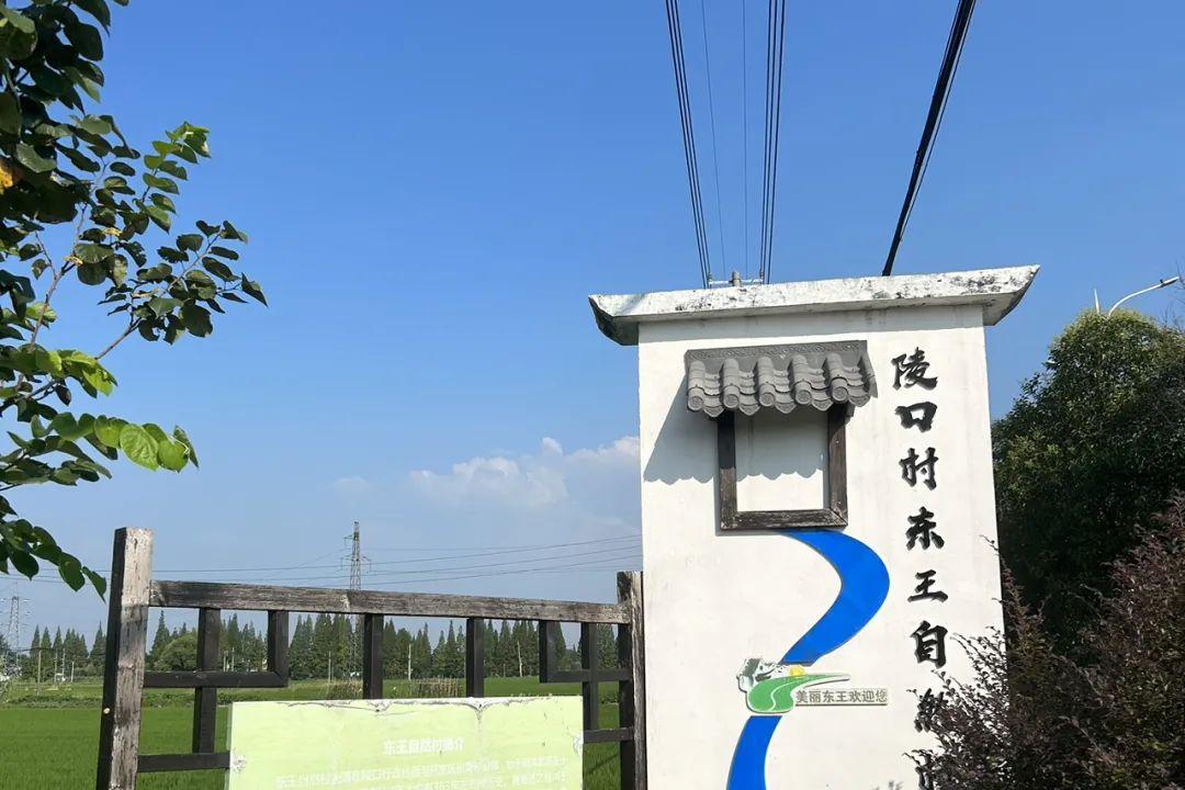 丹阳陵口镇东王自然村的历史和现状 9415古老的村庄 丹阳陵口镇东