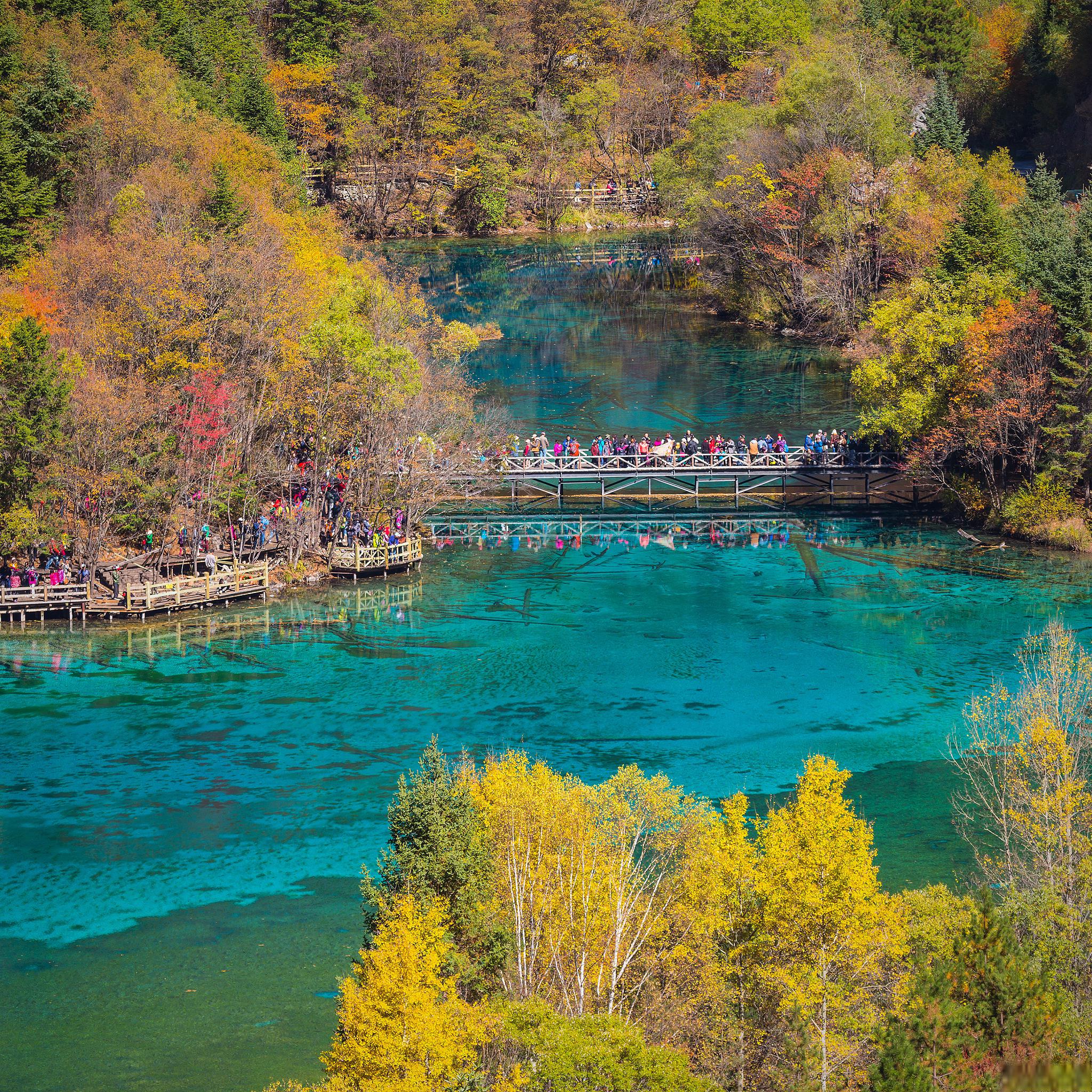 游九寨沟的最佳时间和旅游费用 如果你像我一样,一直向往去九寨沟旅游