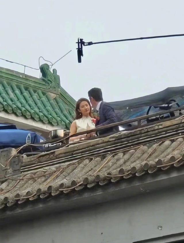 刘亦菲霍建华合作 根据亦舒的小说《玫瑰的故事》改编的电视剧《霉邋