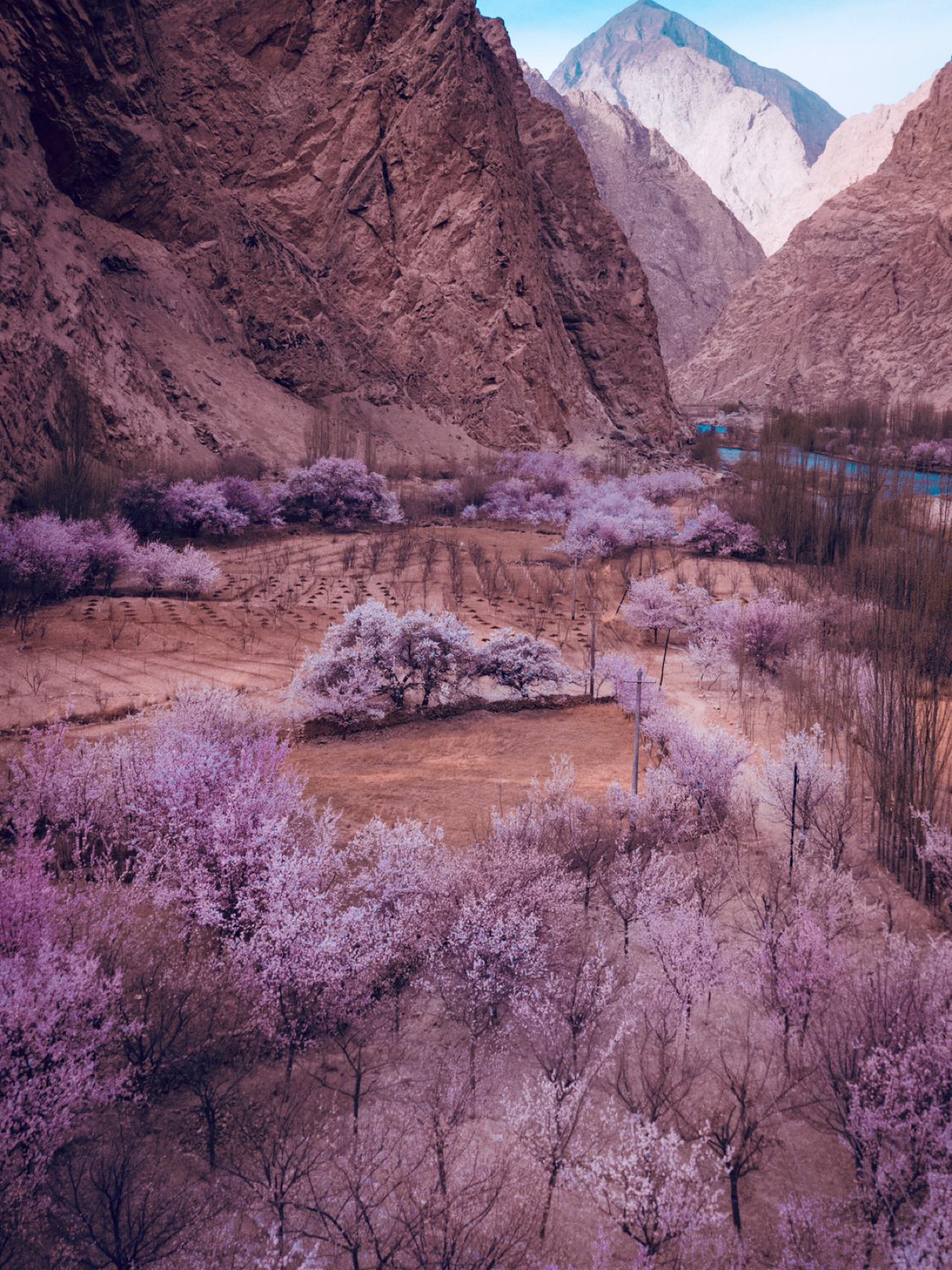 新疆伊犁特克斯县秋日奇观 随着季节的更迭,新疆伊犁特克斯县呈现出一