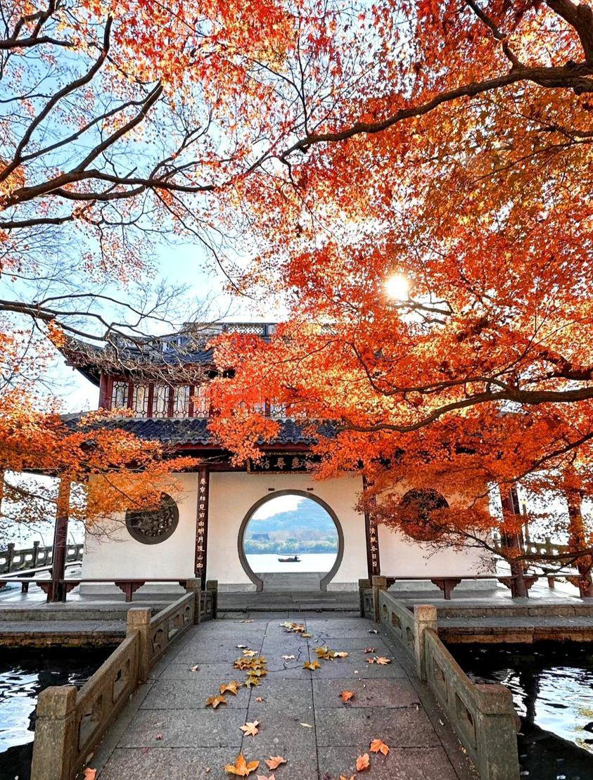 在这个季节里,西湖的美景仿佛被秋天的魔法点亮,给人们带来无尽的惊喜