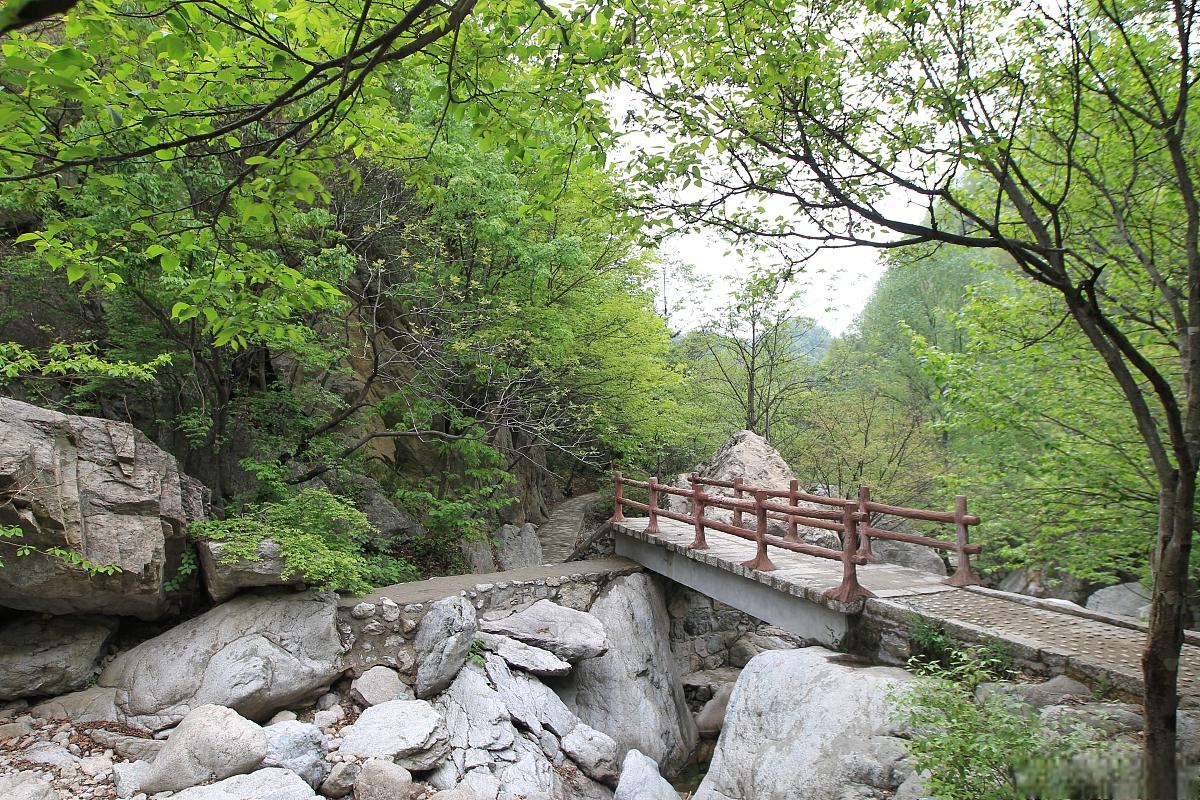 承德雾灵山风景区图片图片