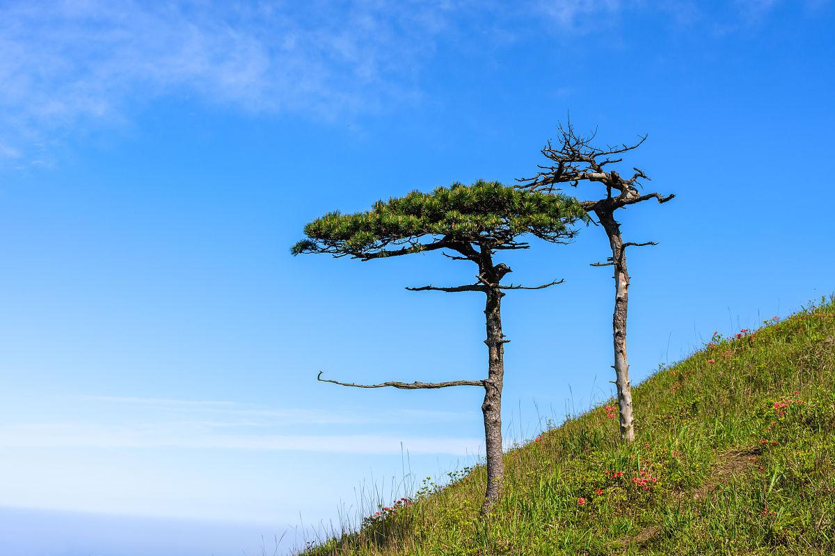 萍乡武功山地图图片