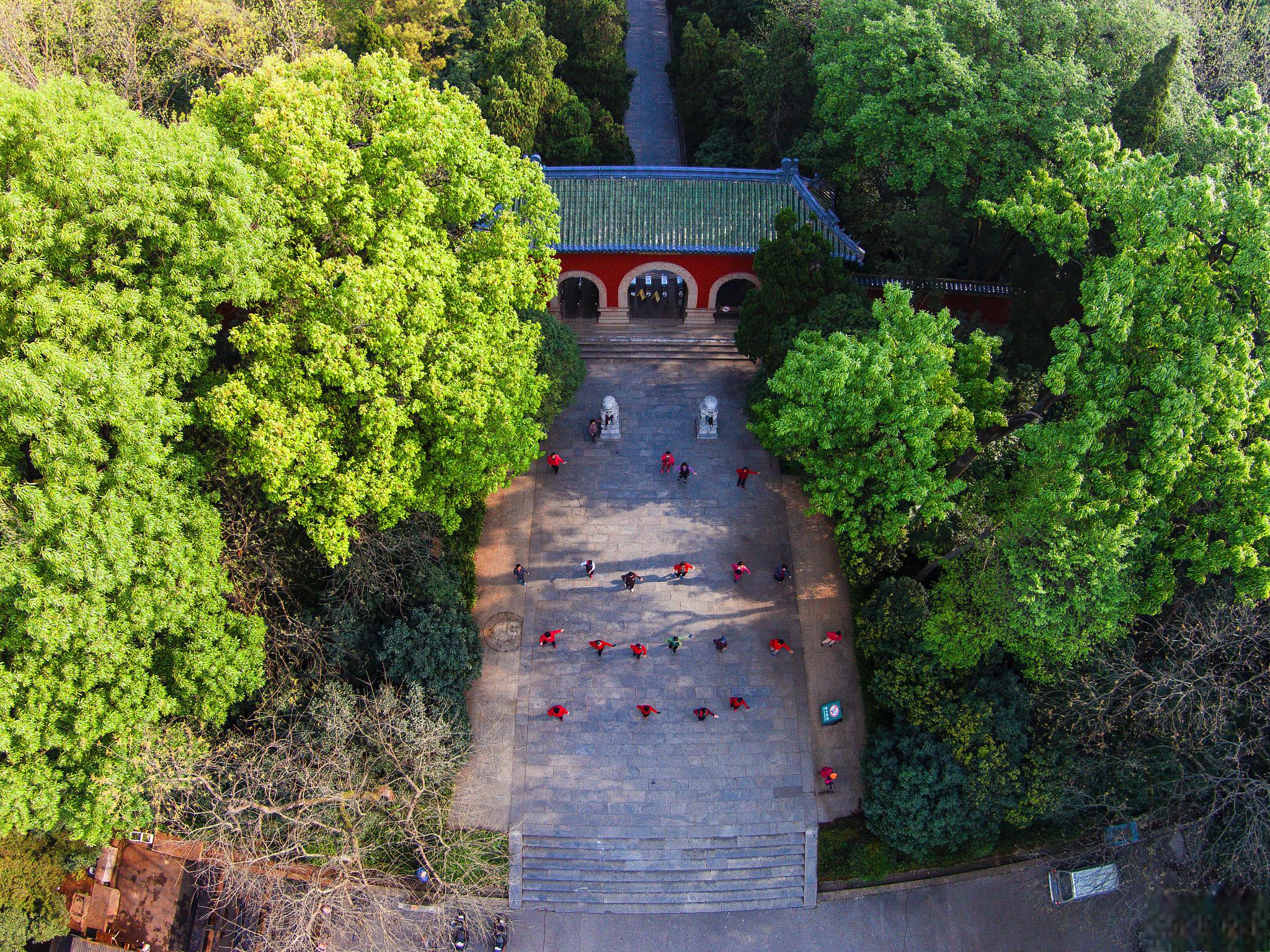 南京市钟山风景名胜区-中山陵园风景区 南京市钟山风景名胜区/中山